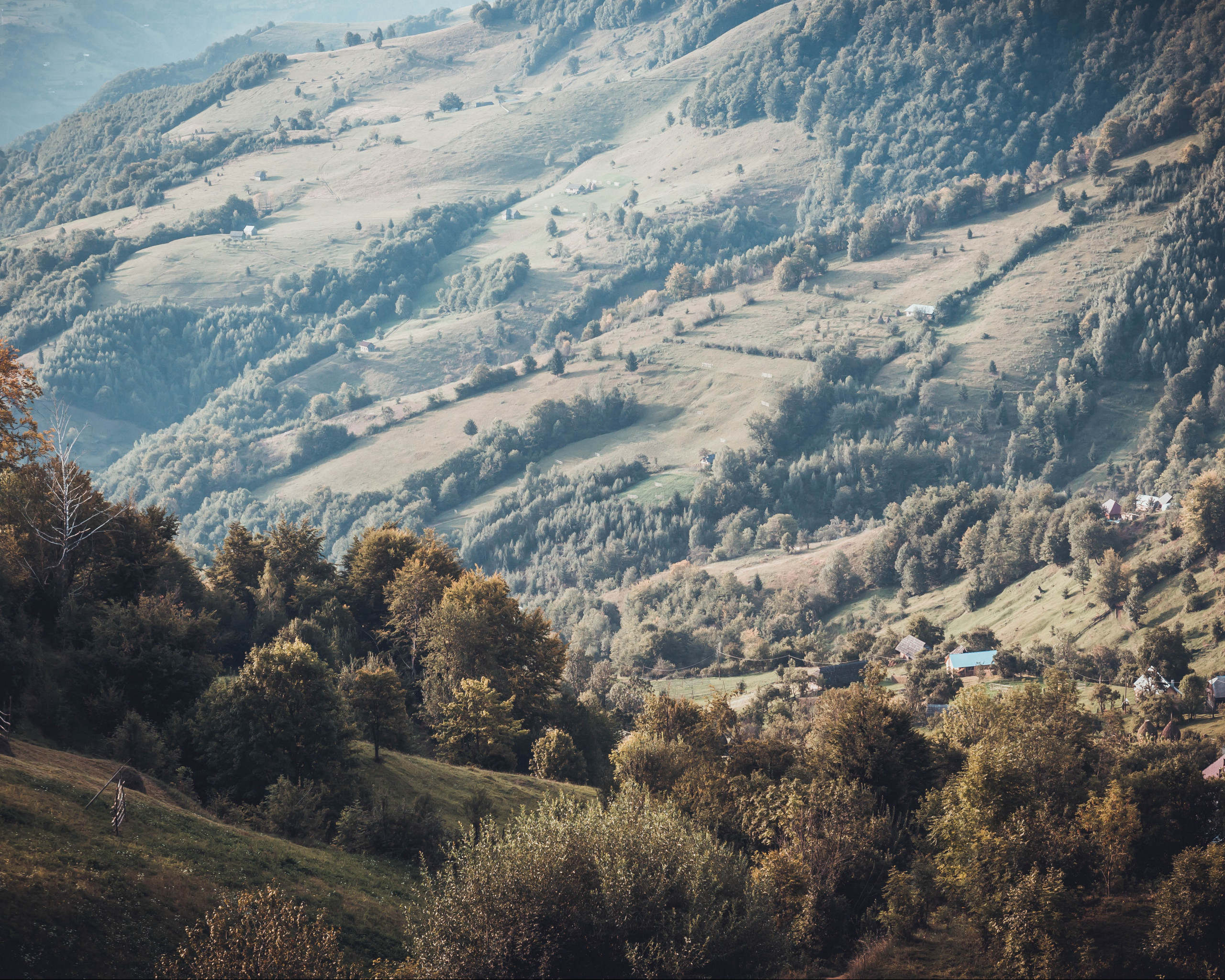 Green Mountain With Trees