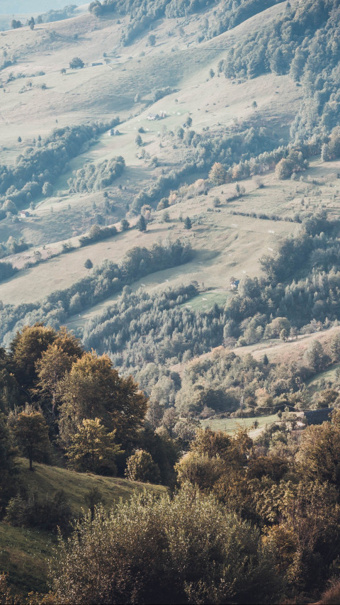 Green Mountain With Trees