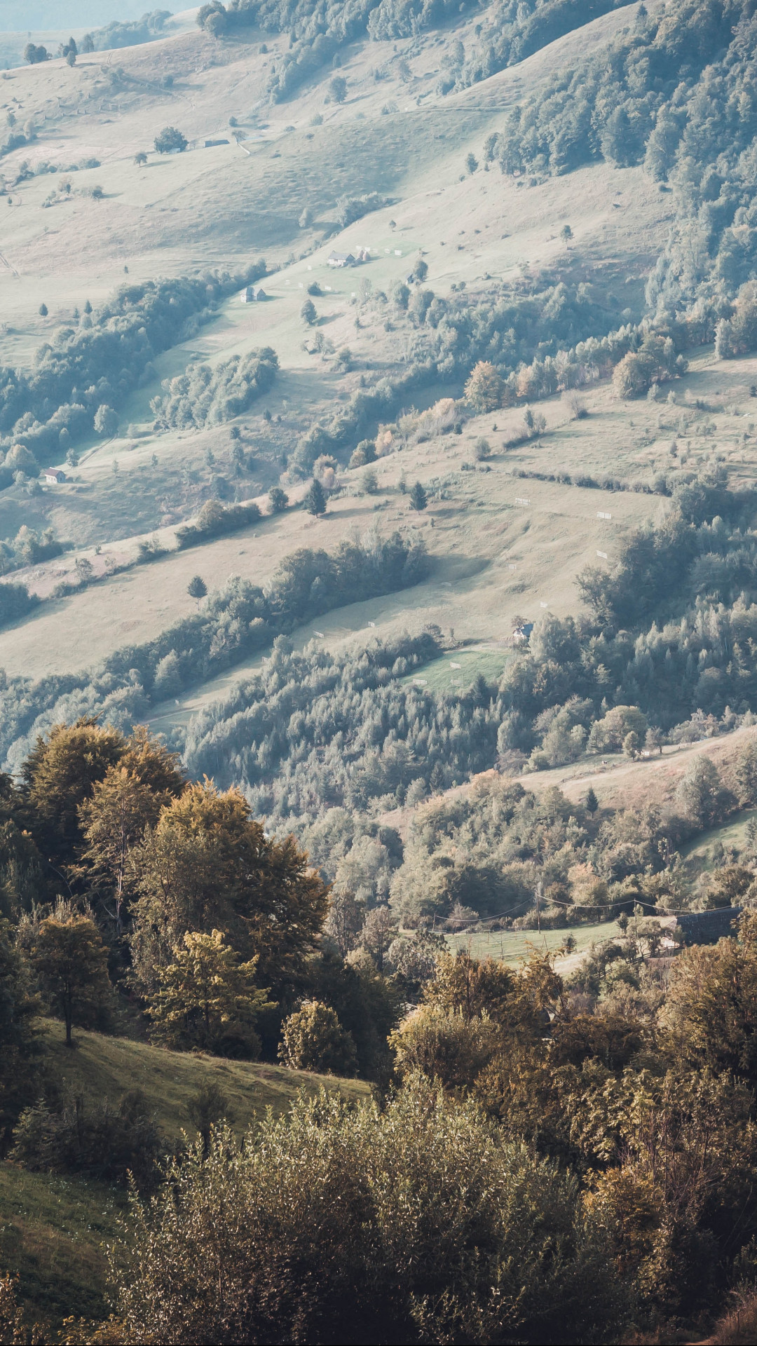 Green Mountain With Trees