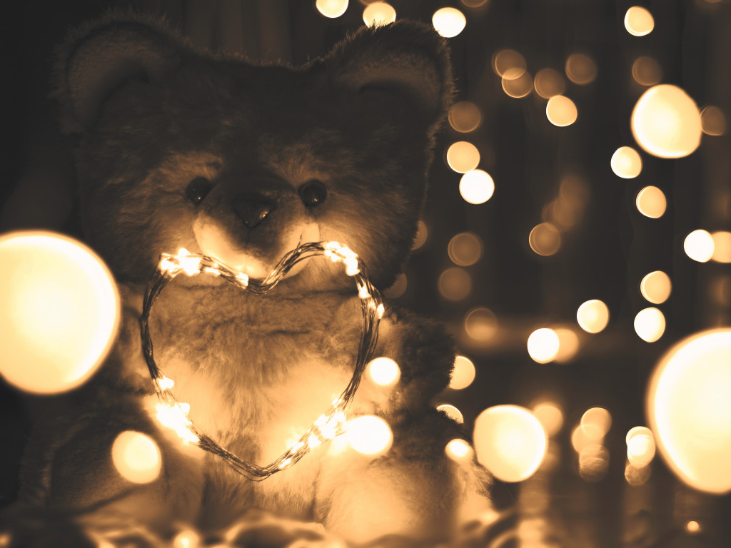 Teddy Bear