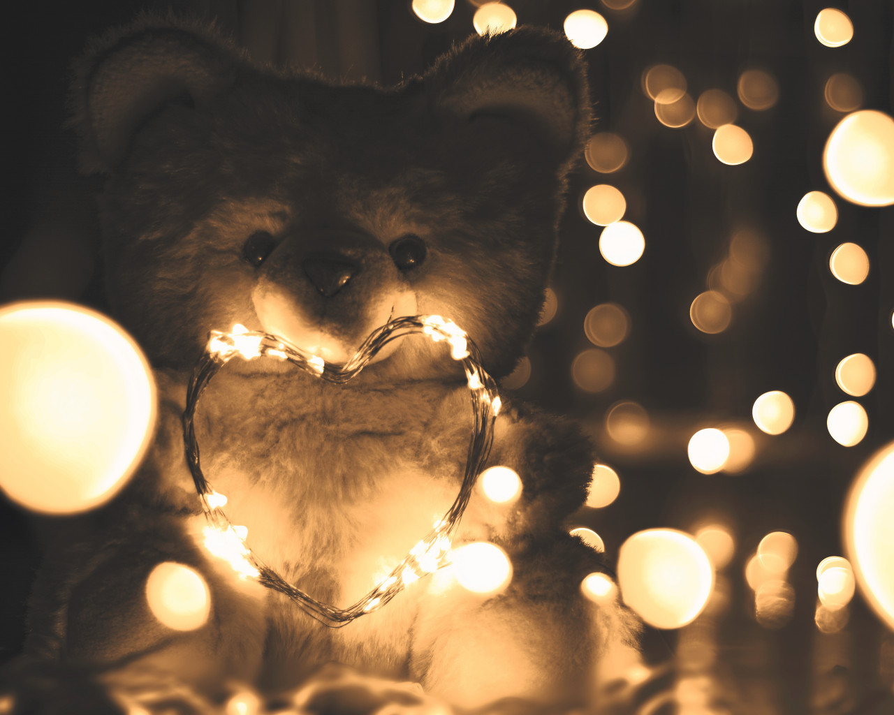 Teddy Bear