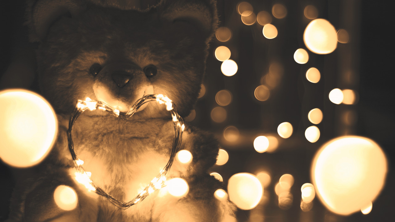 Teddy Bear