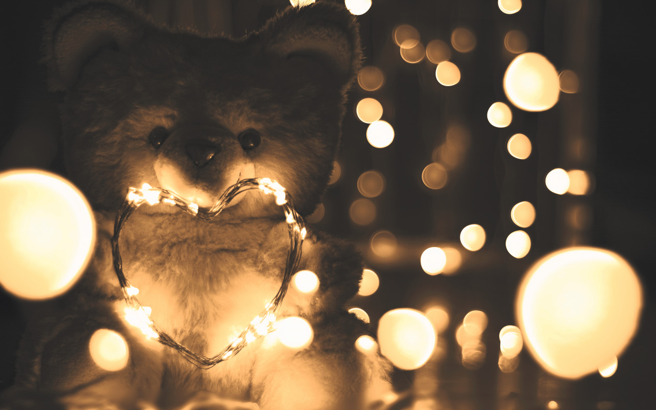 Teddy Bear