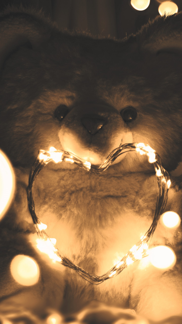 Teddy Bear