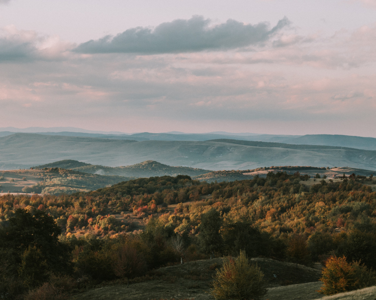 Forest And Mountains