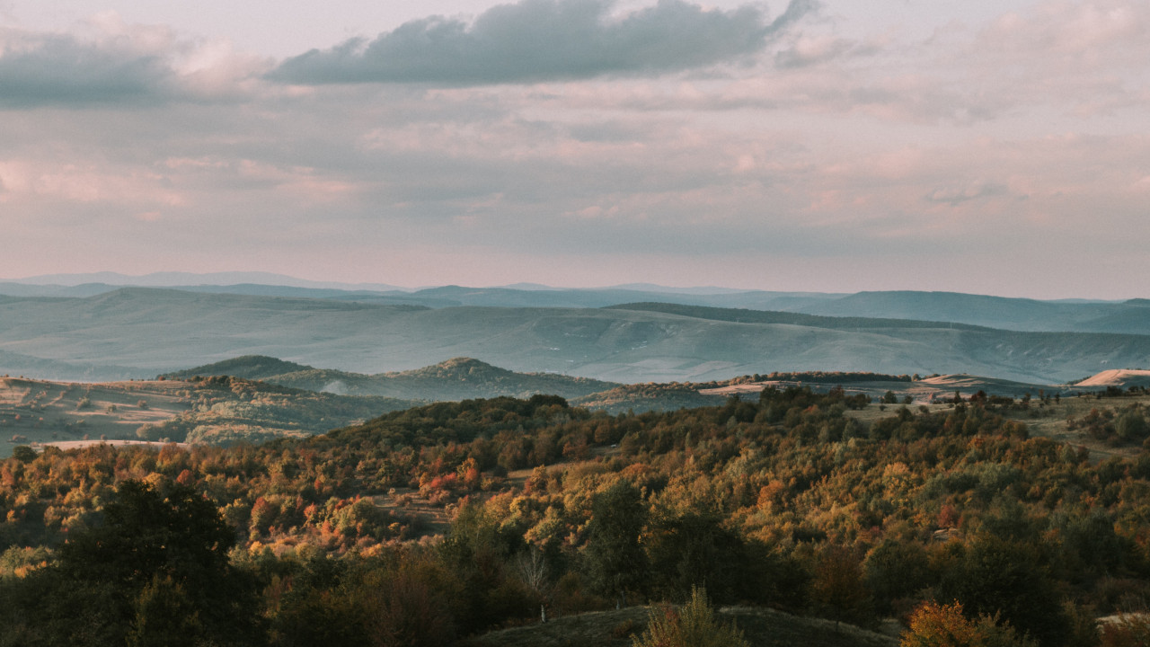 Forest And Mountains