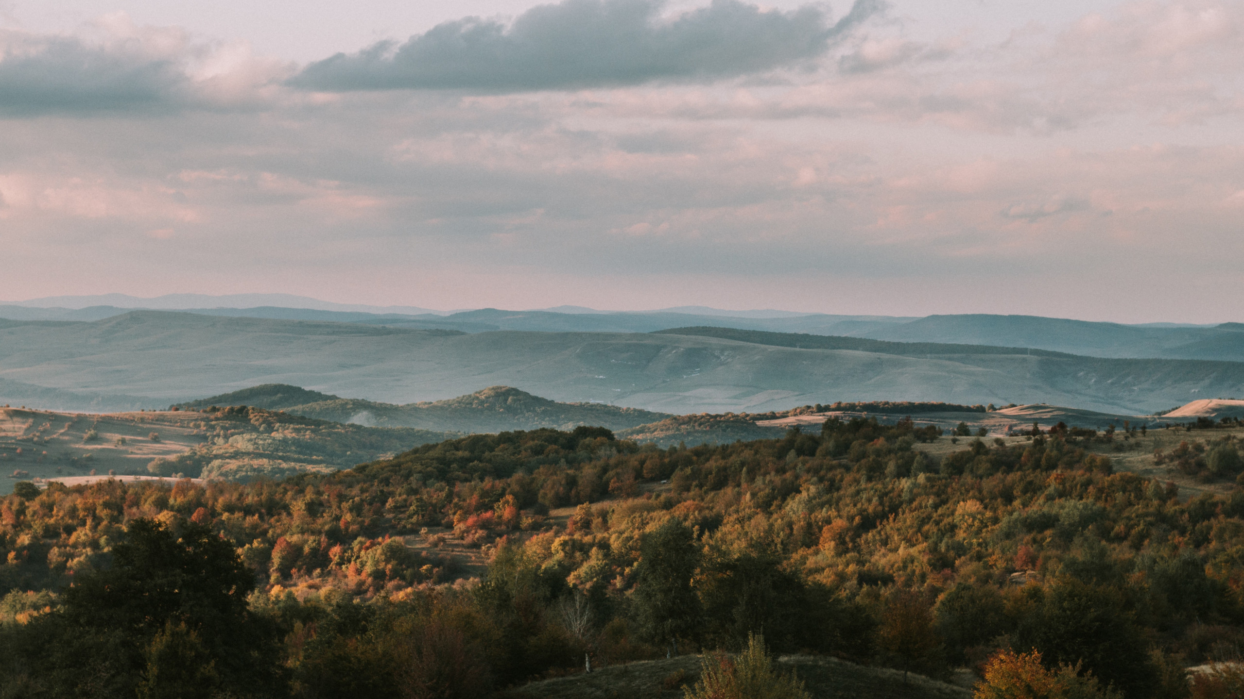 Forest And Mountains