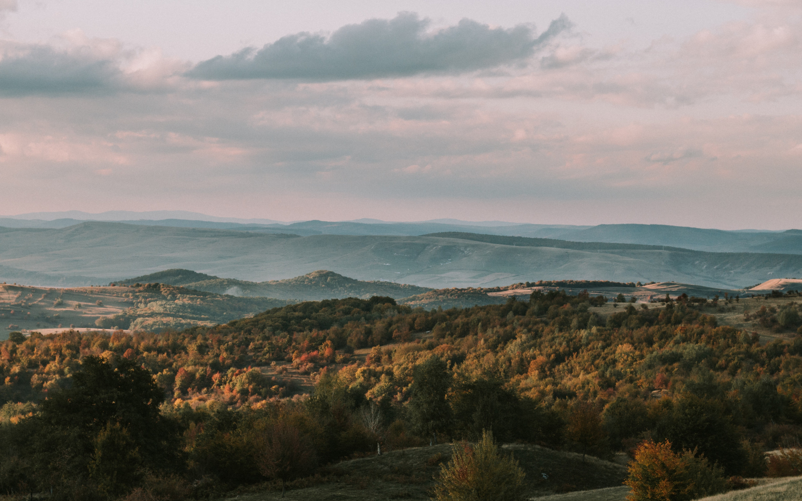 Forest And Mountains