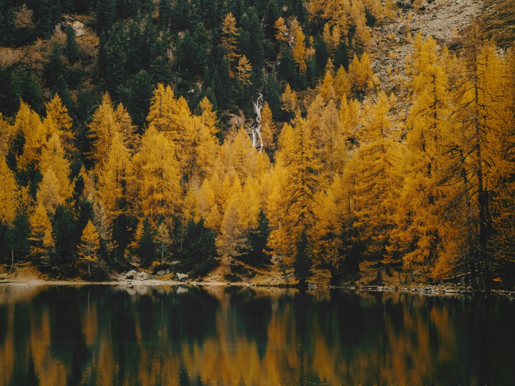 Serene Autumn Forest Reflected in Mountain Lake