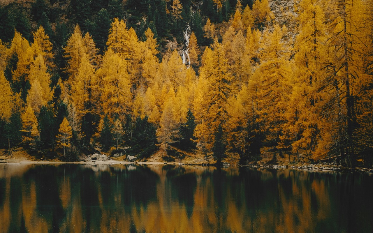 Serene Autumn Forest Reflected in Mountain Lake