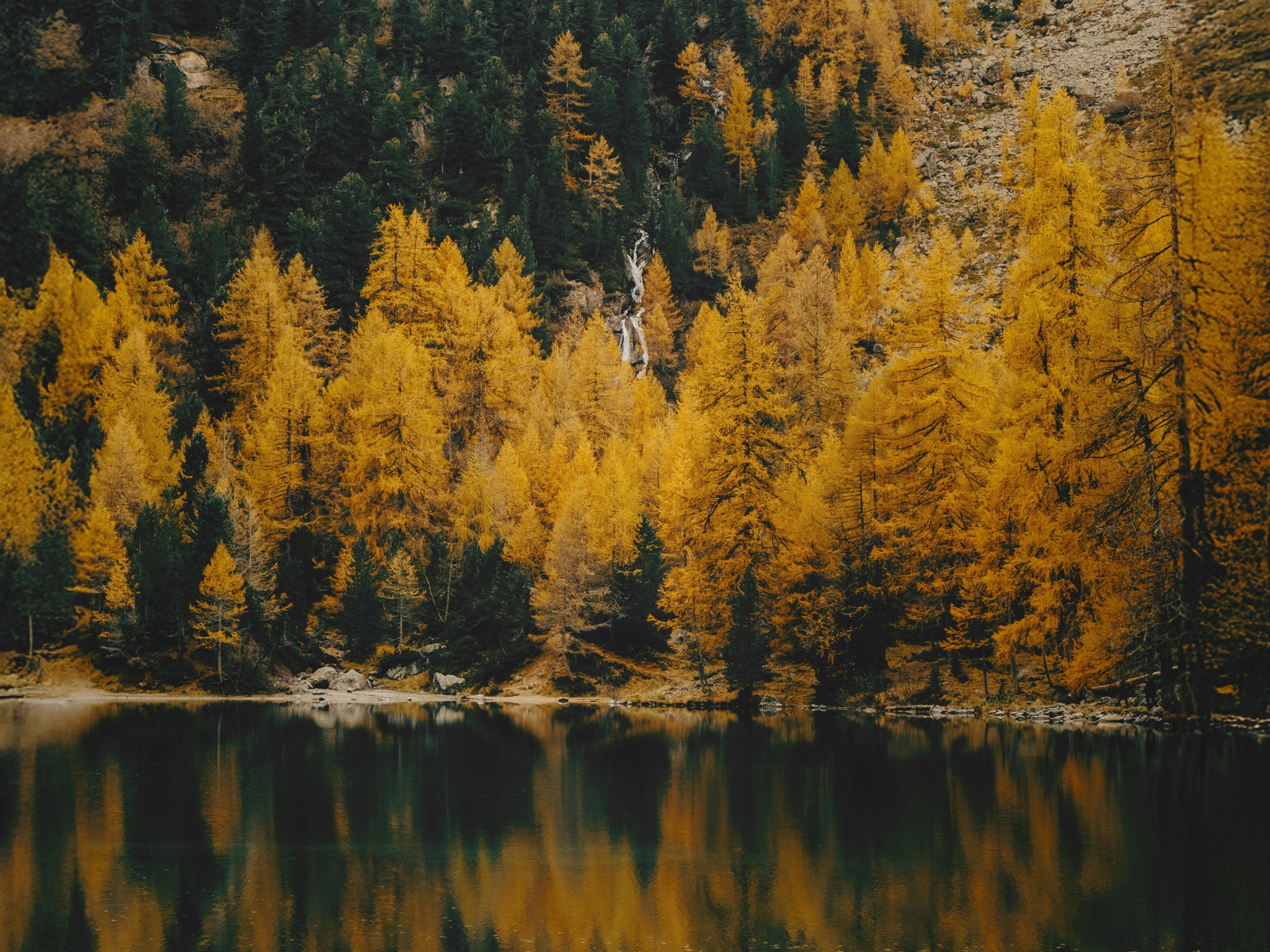 Serene Autumn Forest Reflected in Mountain Lake