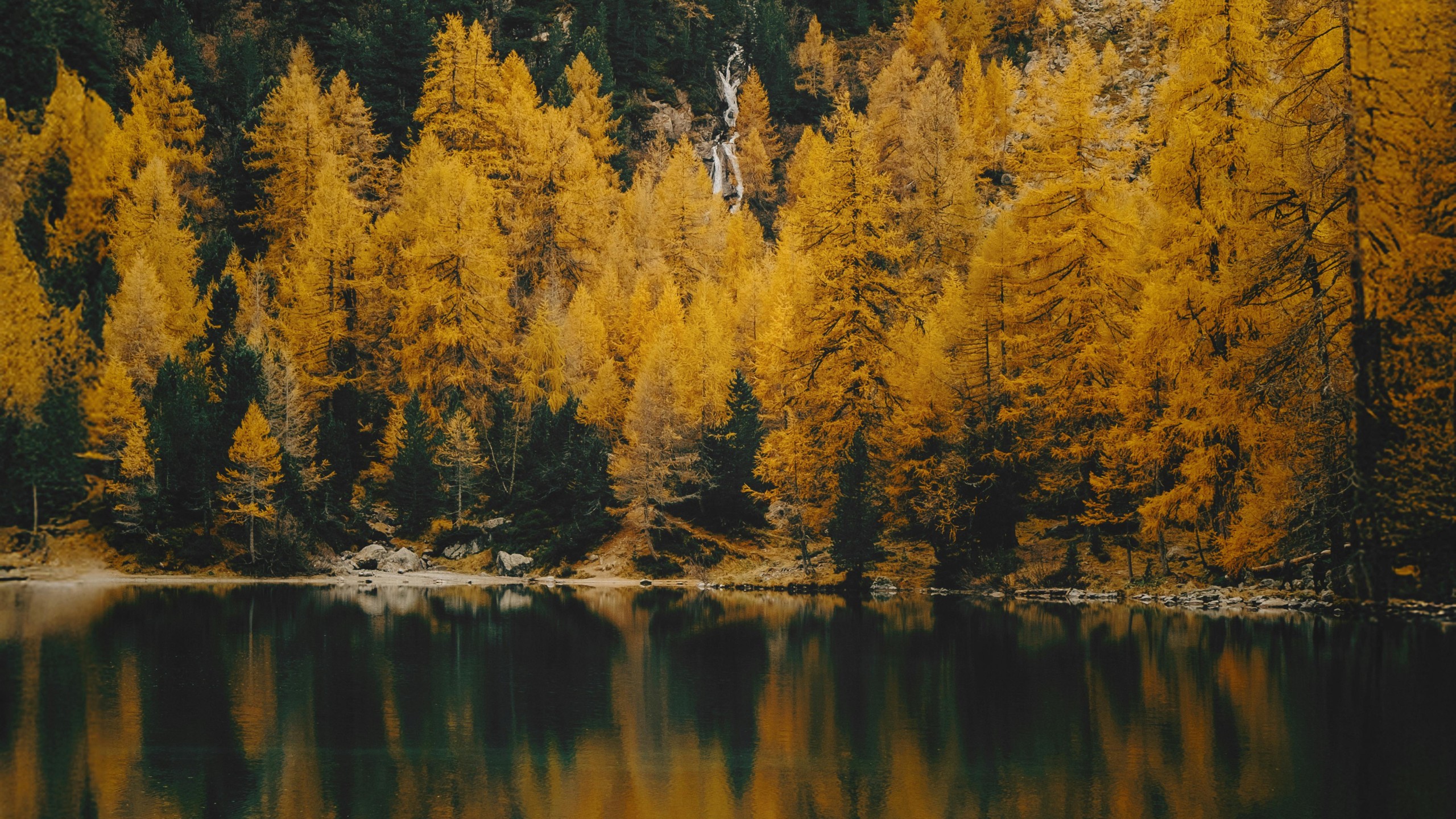 Serene Autumn Forest Reflected in Mountain Lake