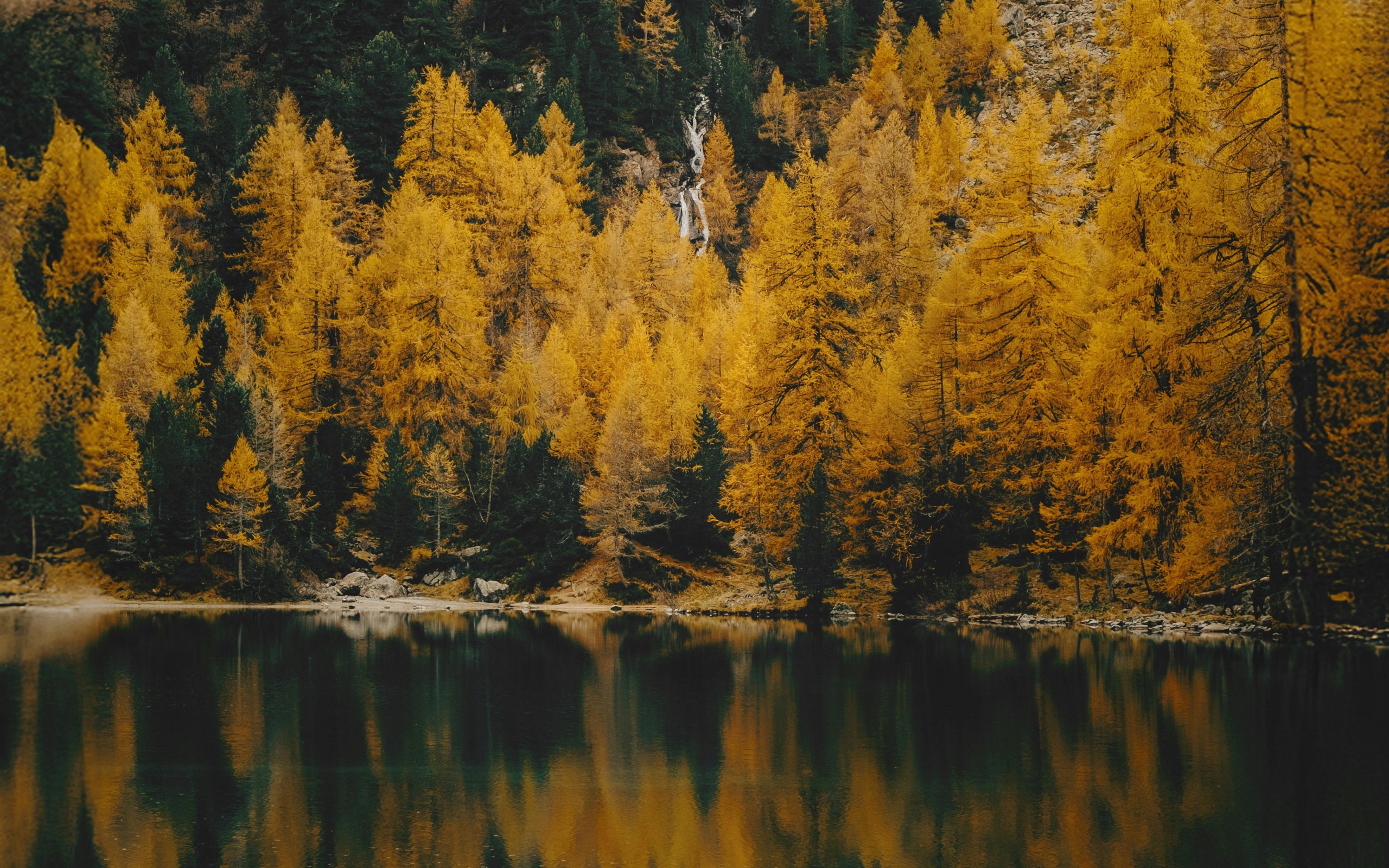 Serene Autumn Forest Reflected in Mountain Lake