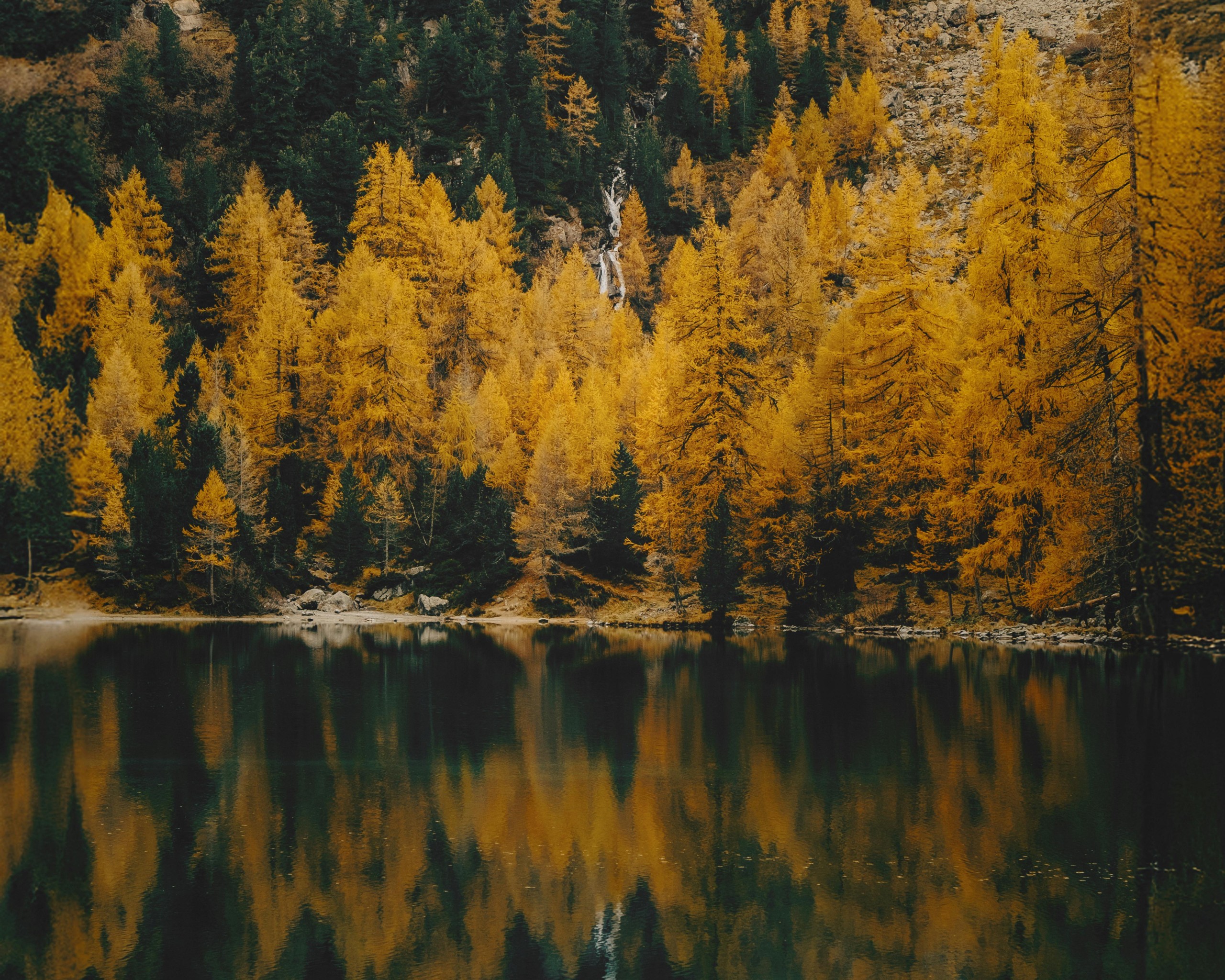 Serene Autumn Forest Reflected in Mountain Lake