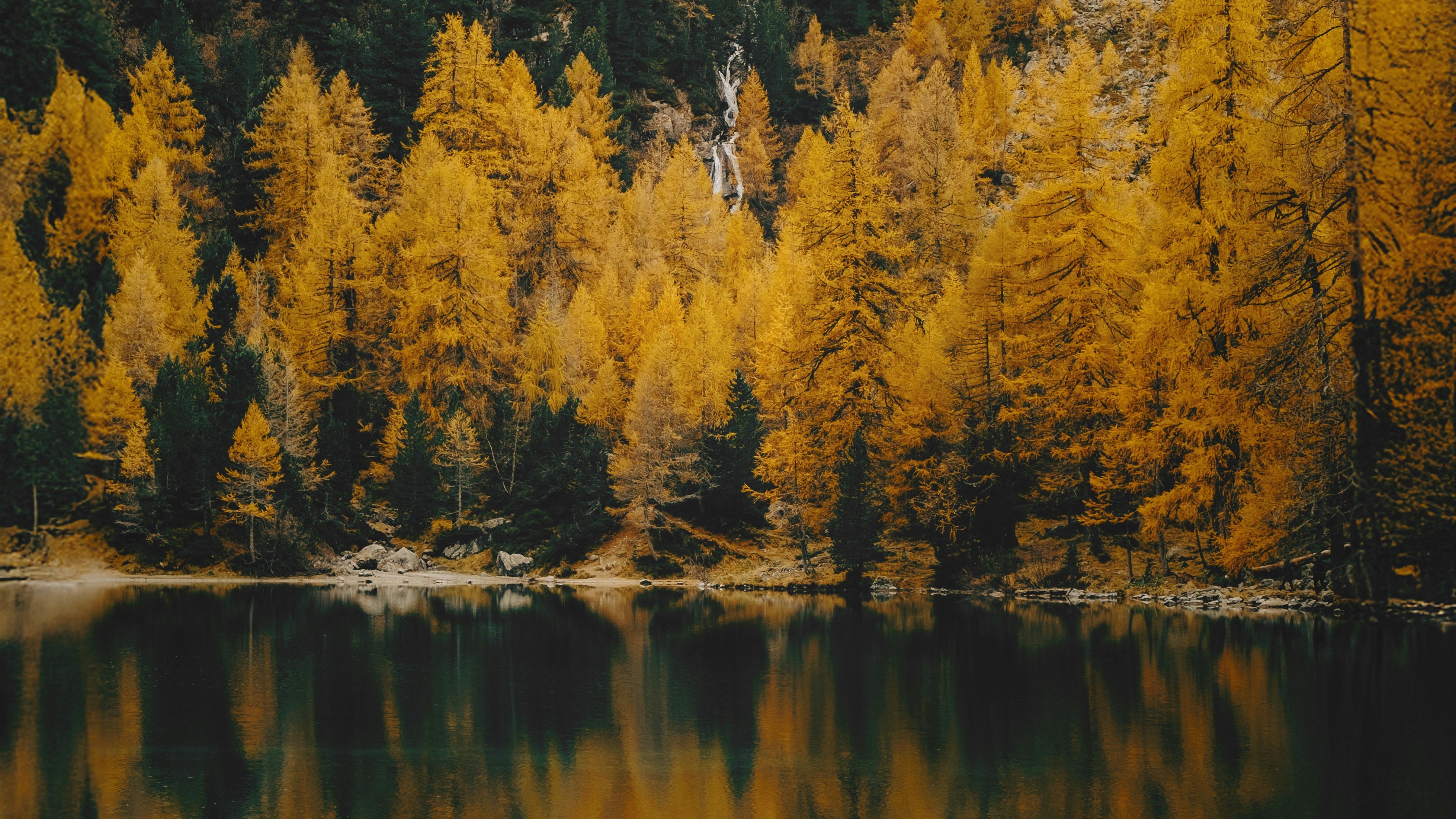 Serene Autumn Forest Reflected in Mountain Lake