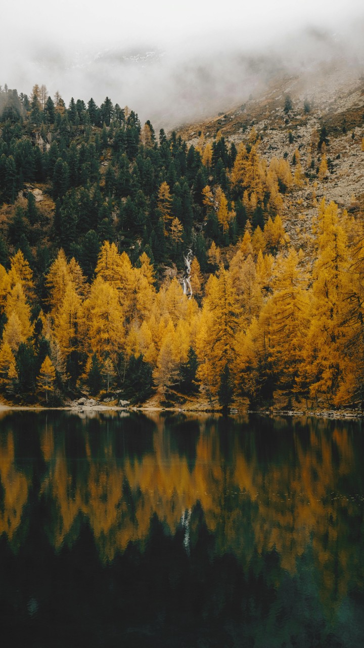 Serene Autumn Forest Reflected in Mountain Lake
