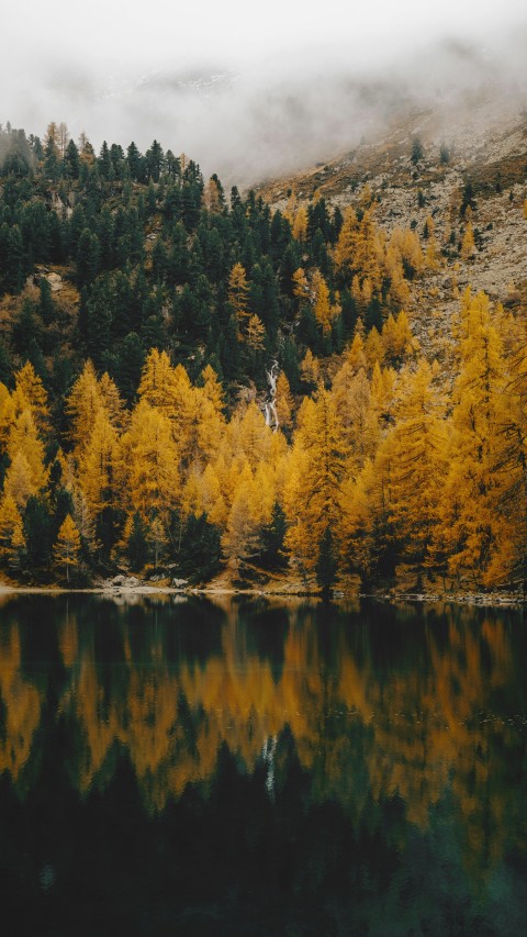 Serene Autumn Forest Reflected in Mountain Lake