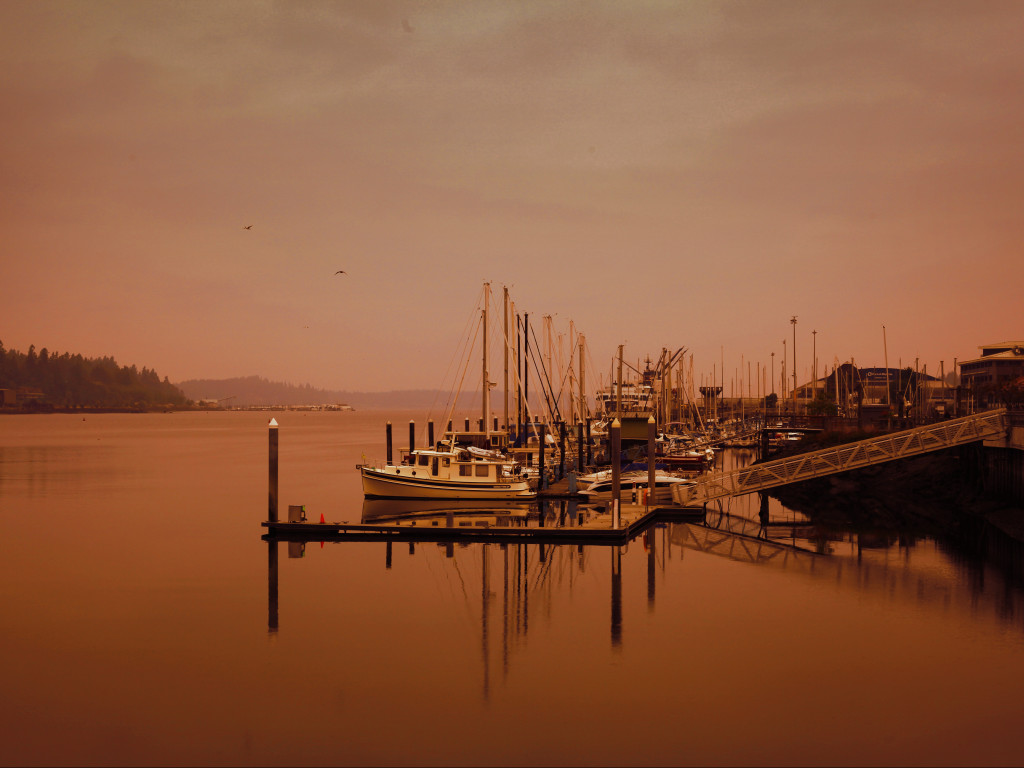 Yachts on Dock