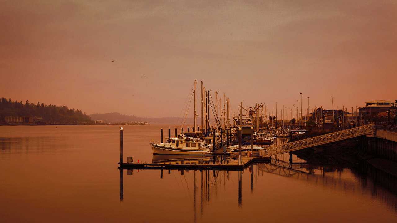 Yachts on Dock