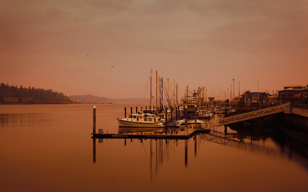 Yachts on Dock