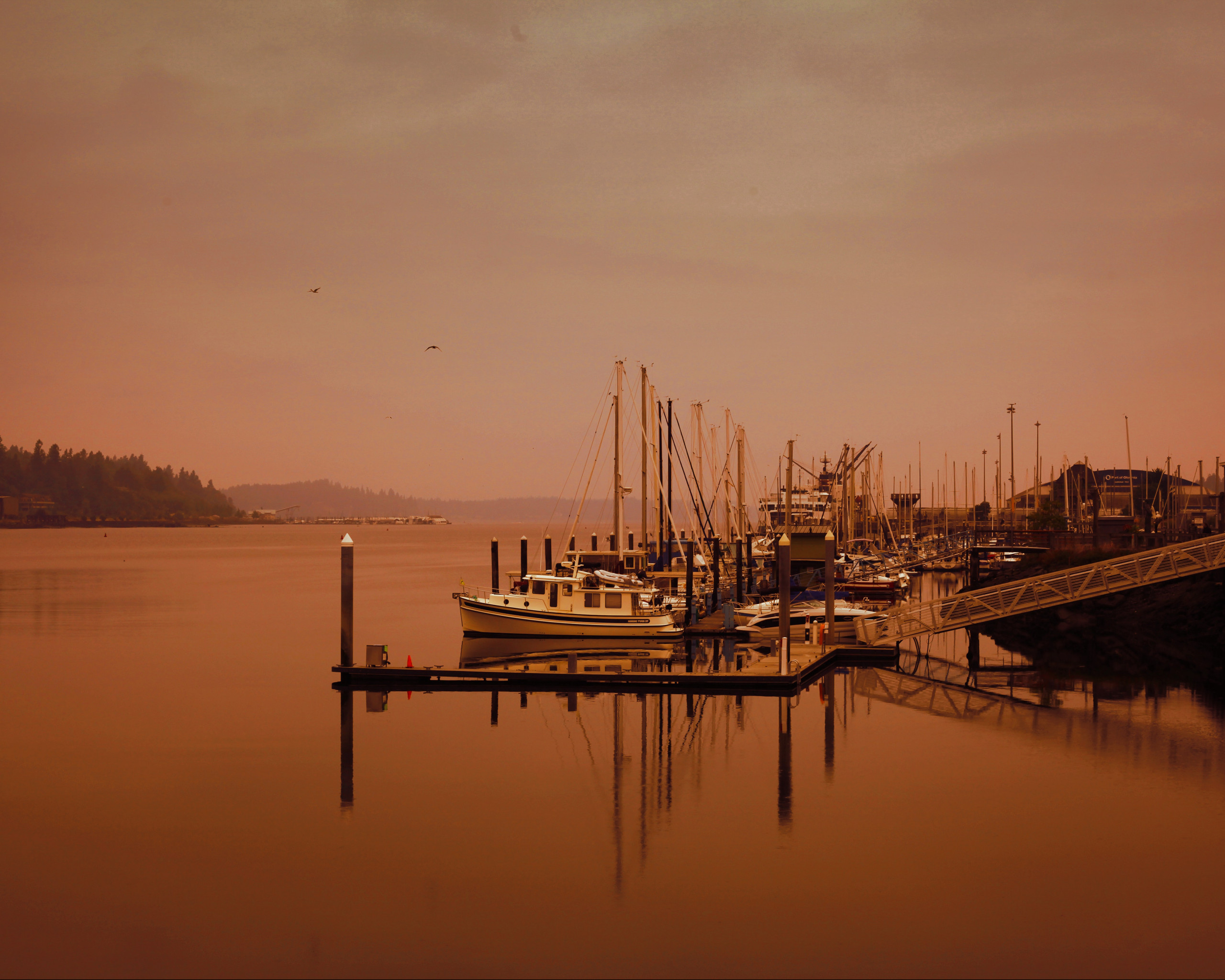 Yachts on Dock