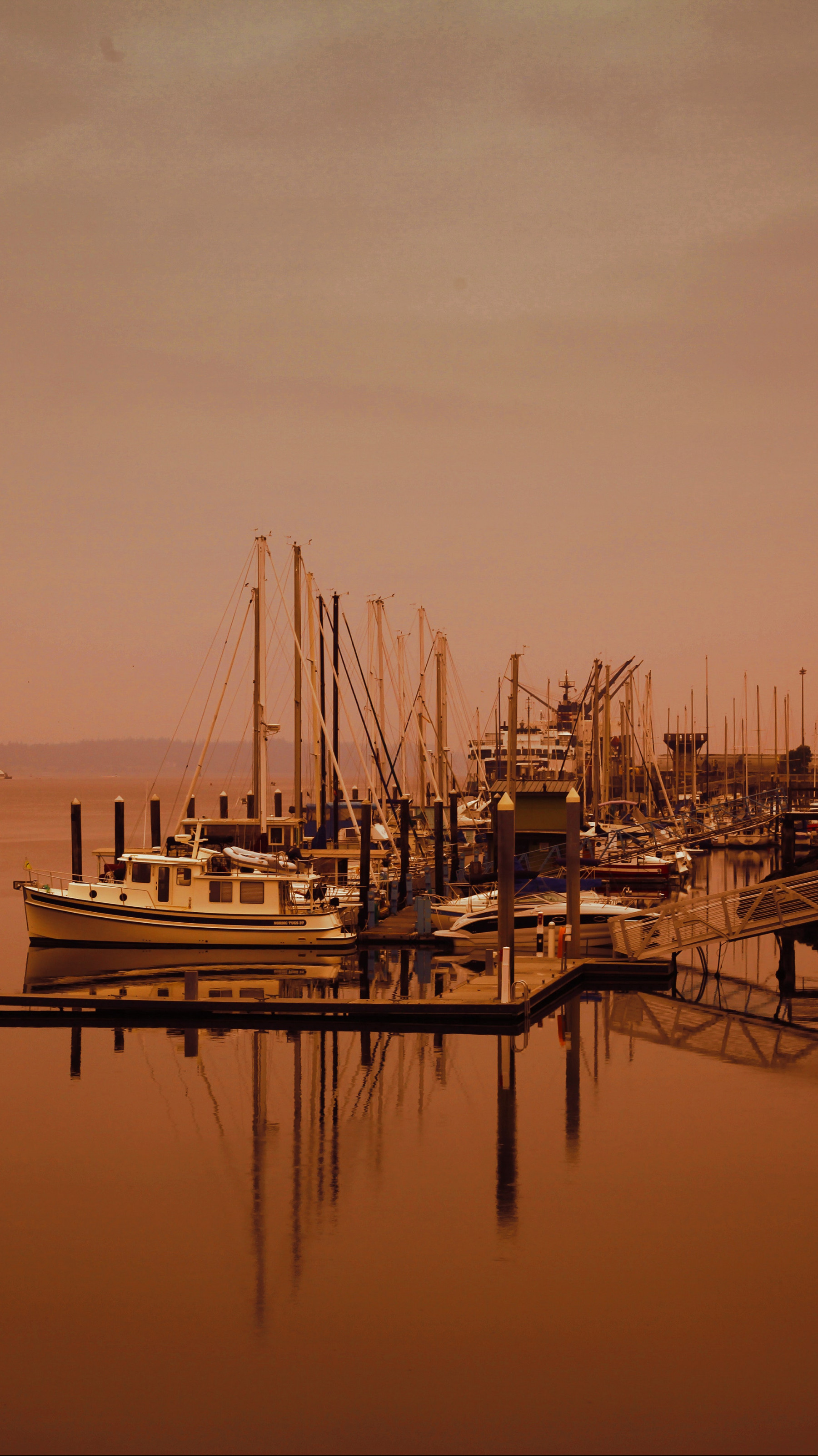Yachts on Dock