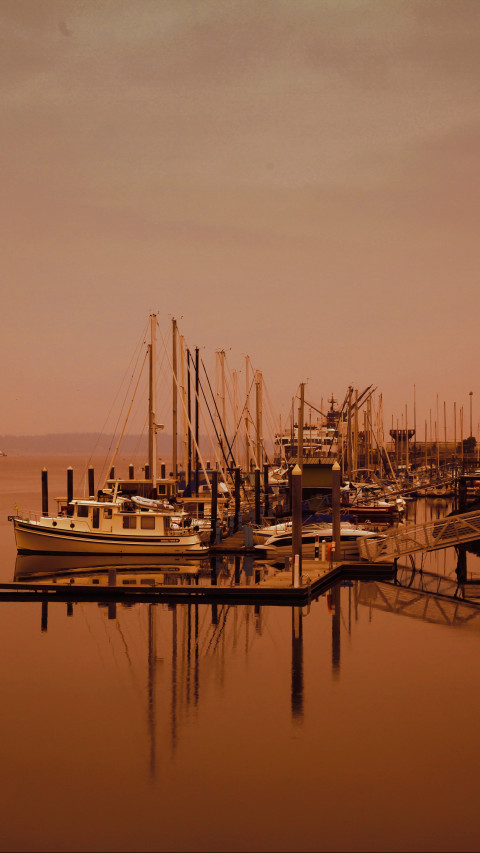 Yachts on Dock