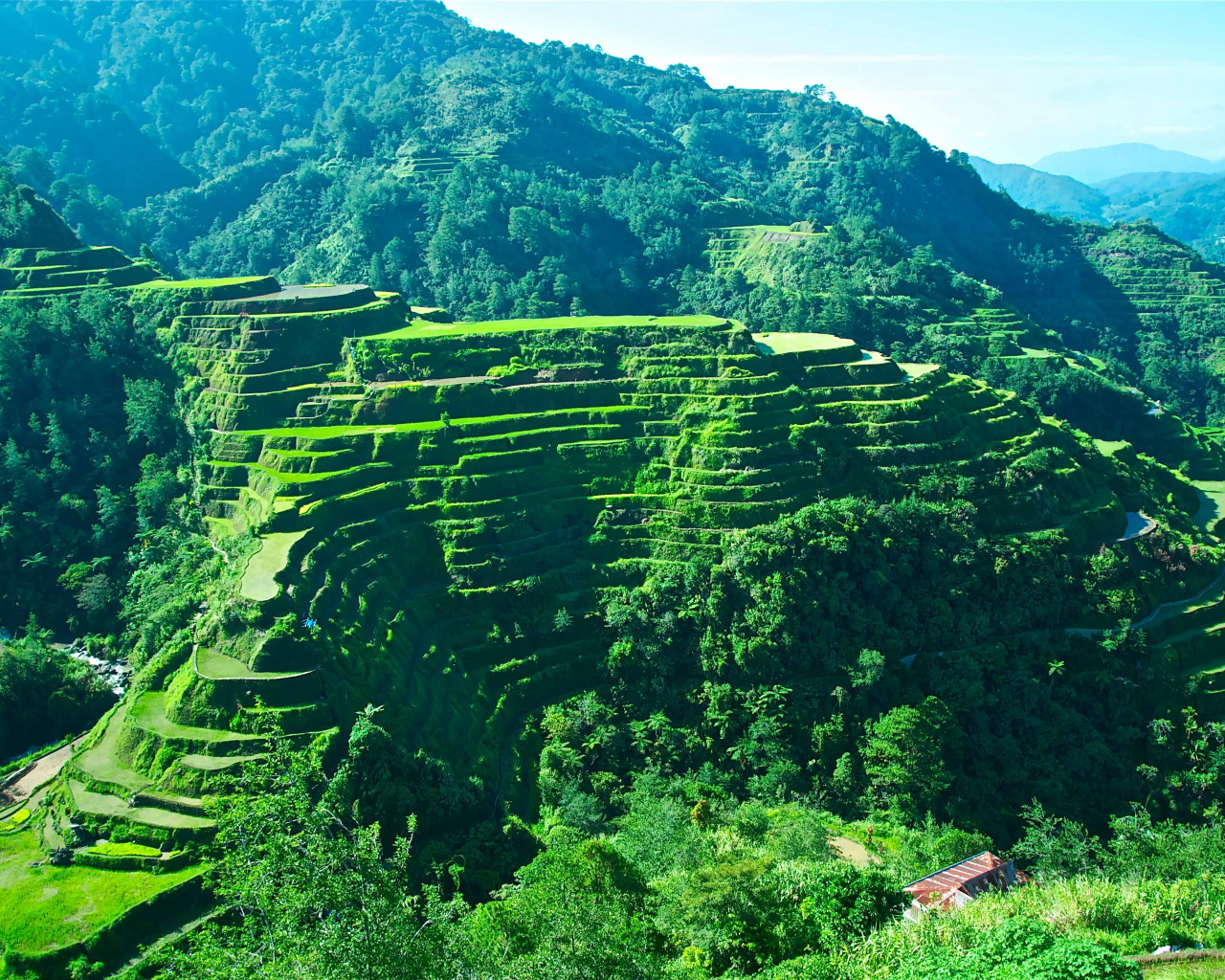 Banaue Rice Terraces