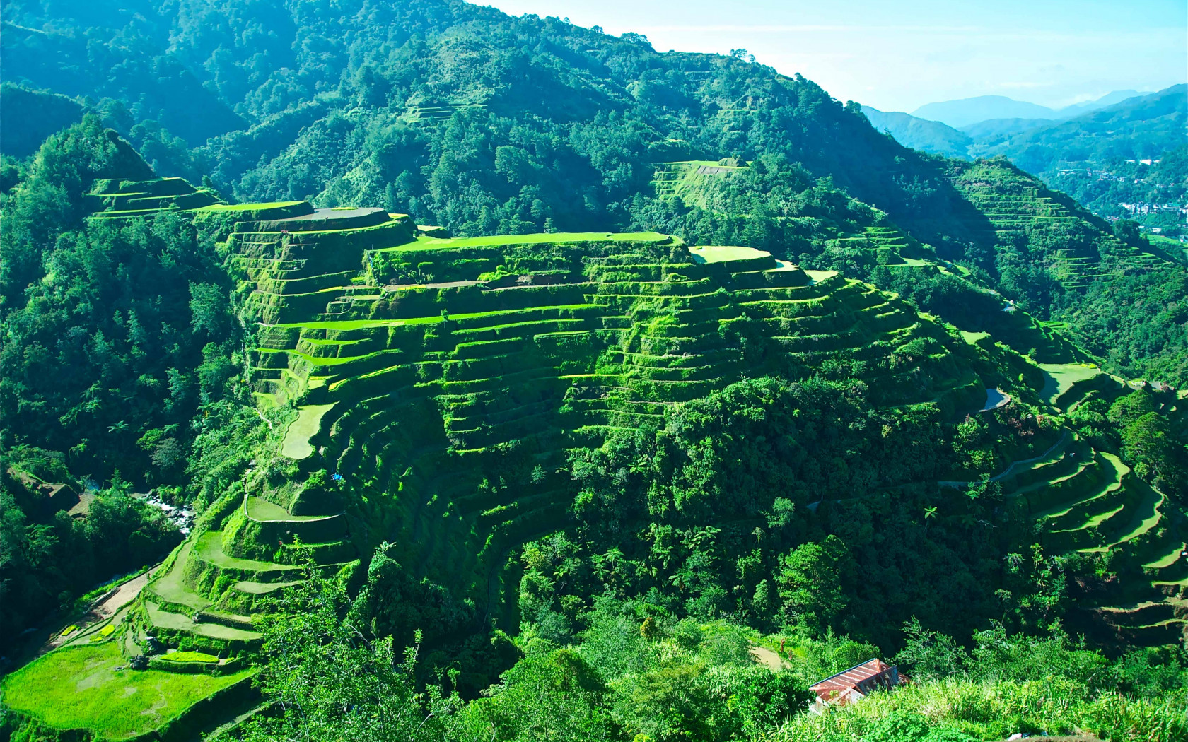 Banaue Rice Terraces