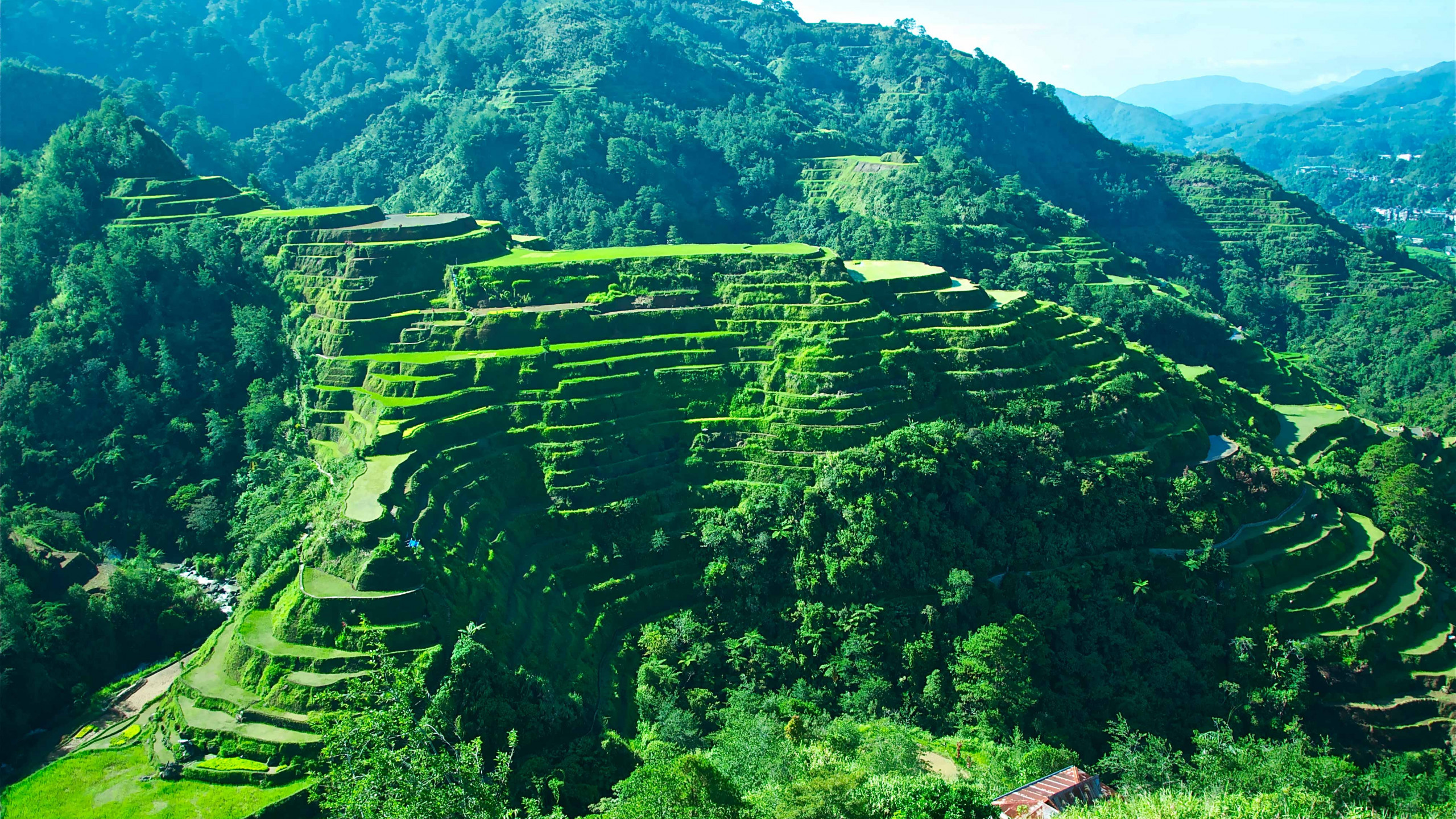 Banaue Rice Terraces