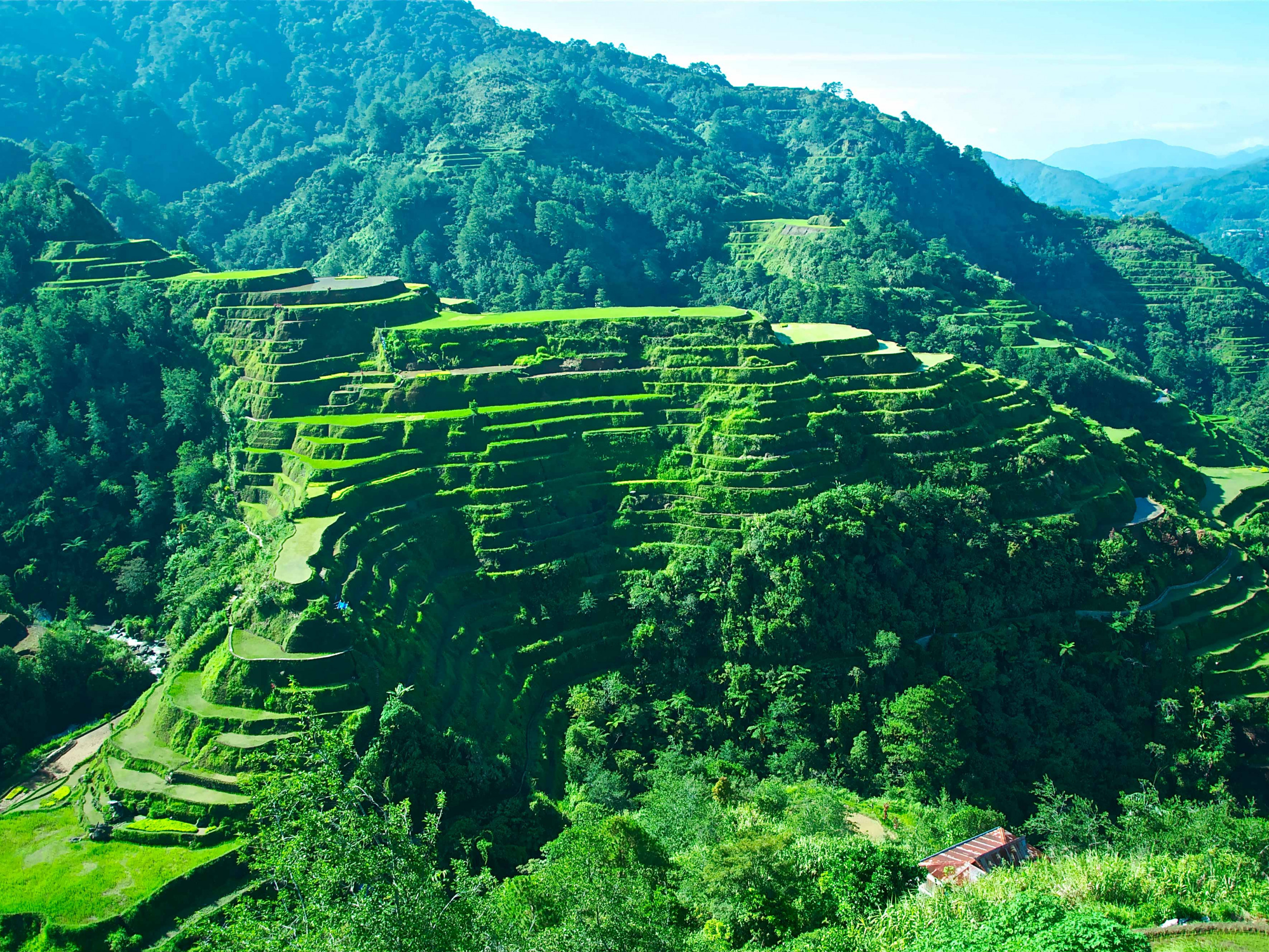 Banaue Rice Terraces