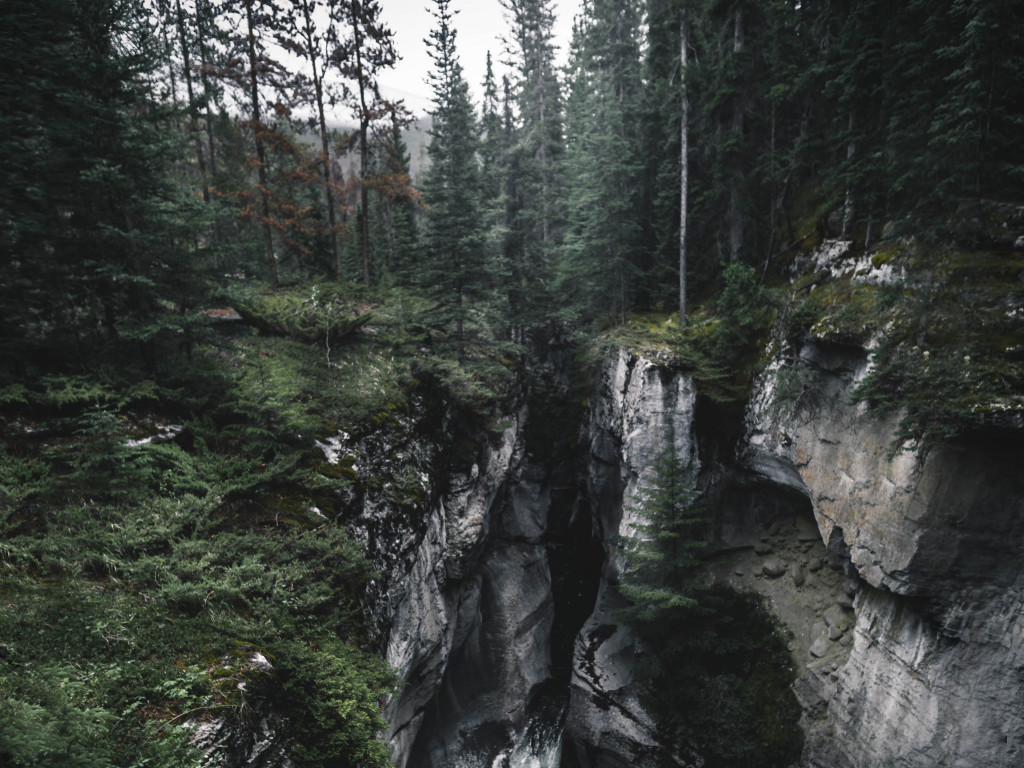 Waterfalls in Between Forest