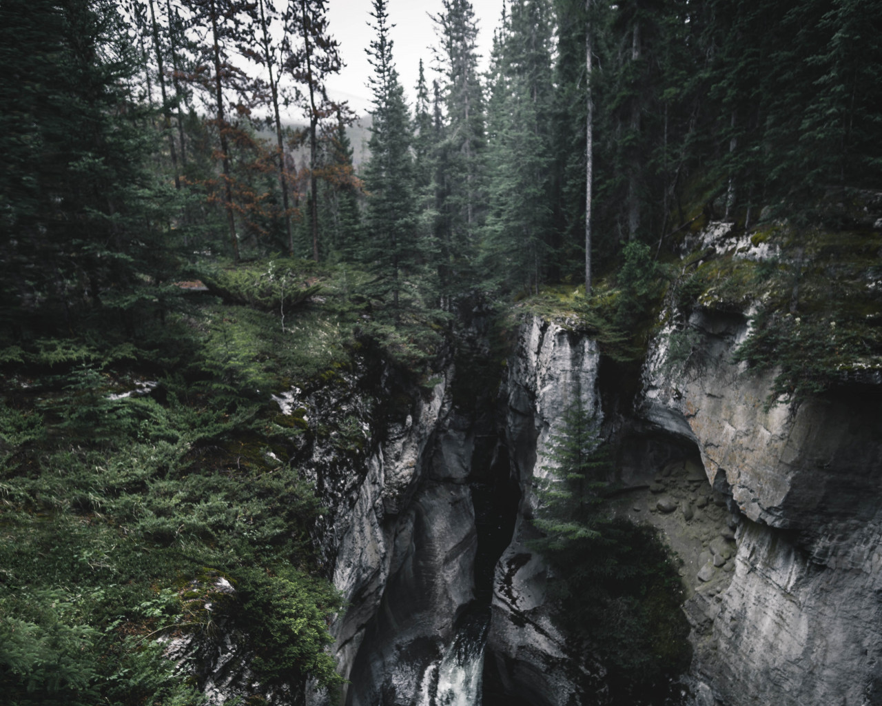 Waterfalls in Between Forest