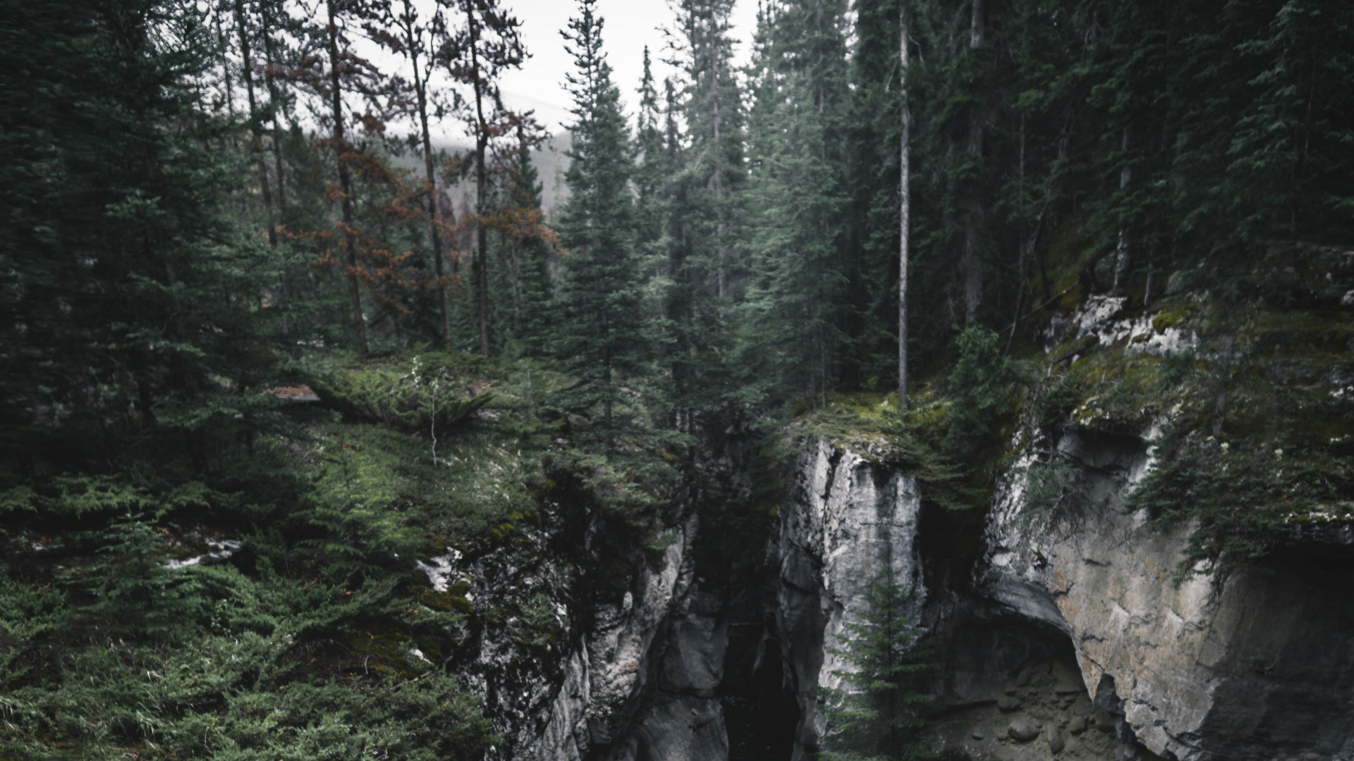 Waterfalls in Between Forest