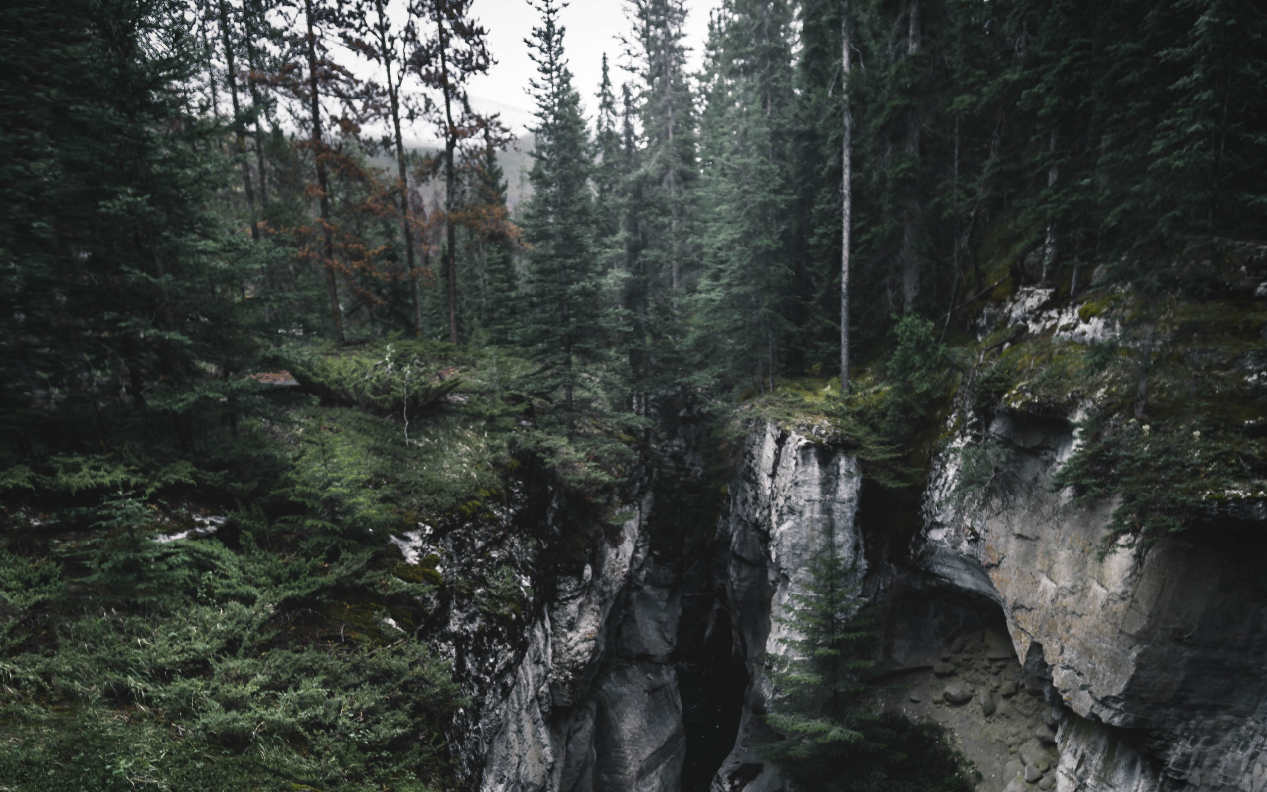 Waterfalls in Between Forest