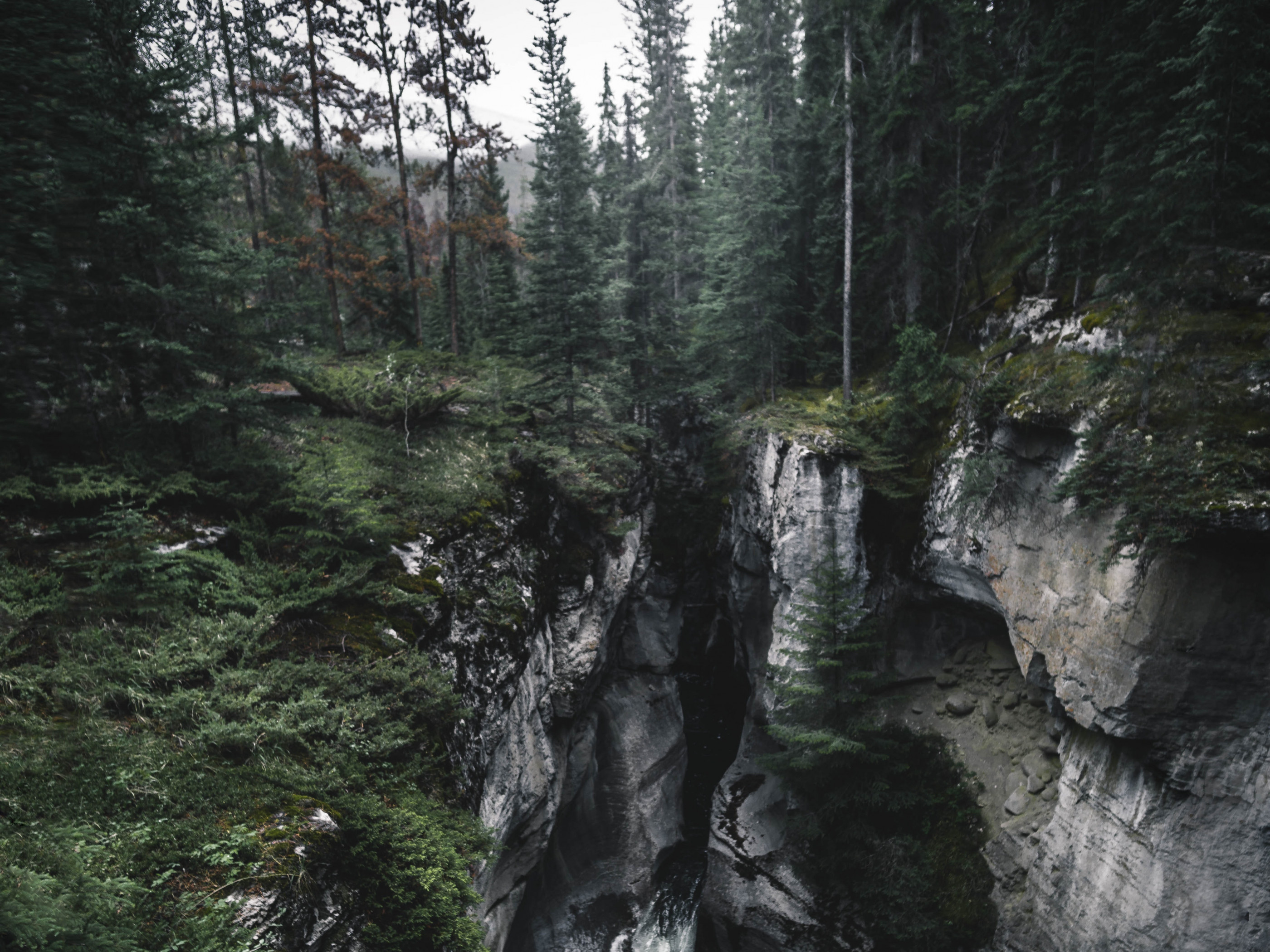 Waterfalls in Between Forest
