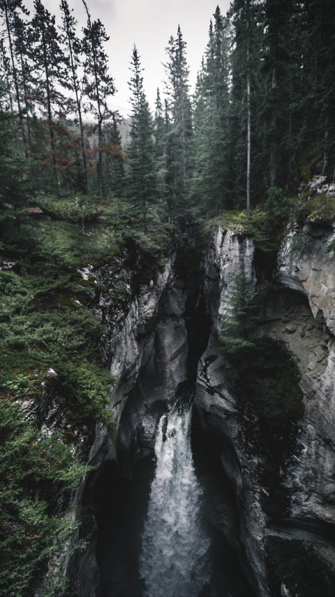 Waterfalls in Between Forest