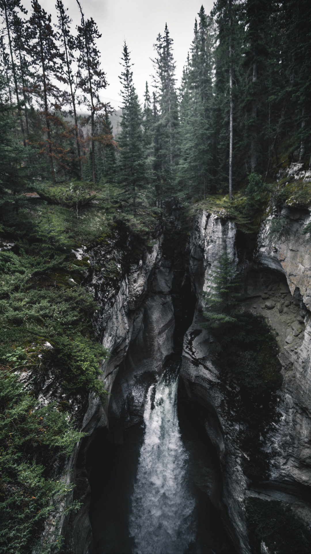 Waterfalls in Between Forest