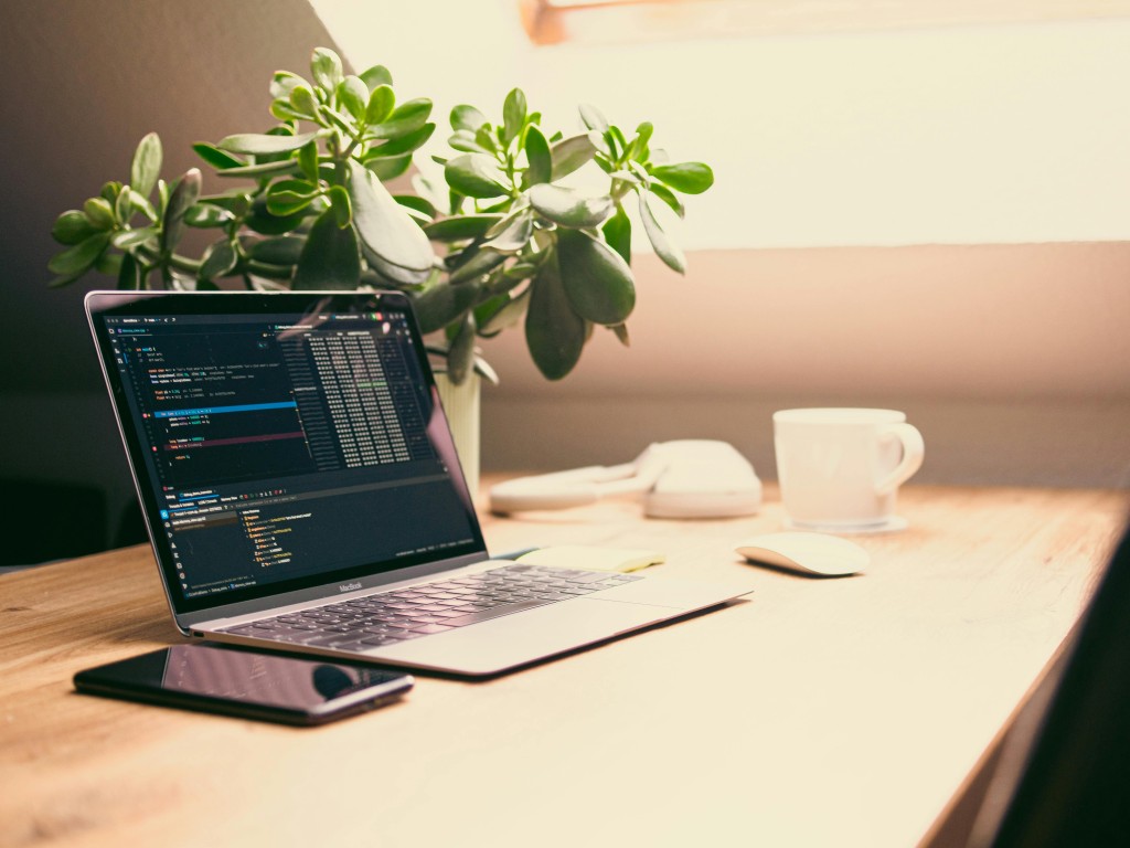 Home Office with Laptop and Green Plant