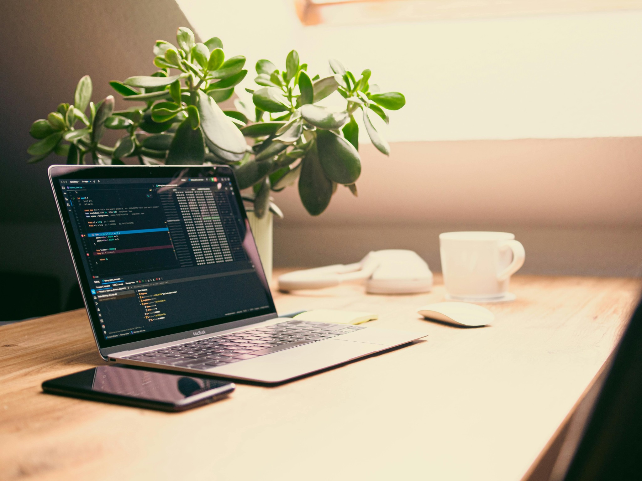 Home Office with Laptop and Green Plant