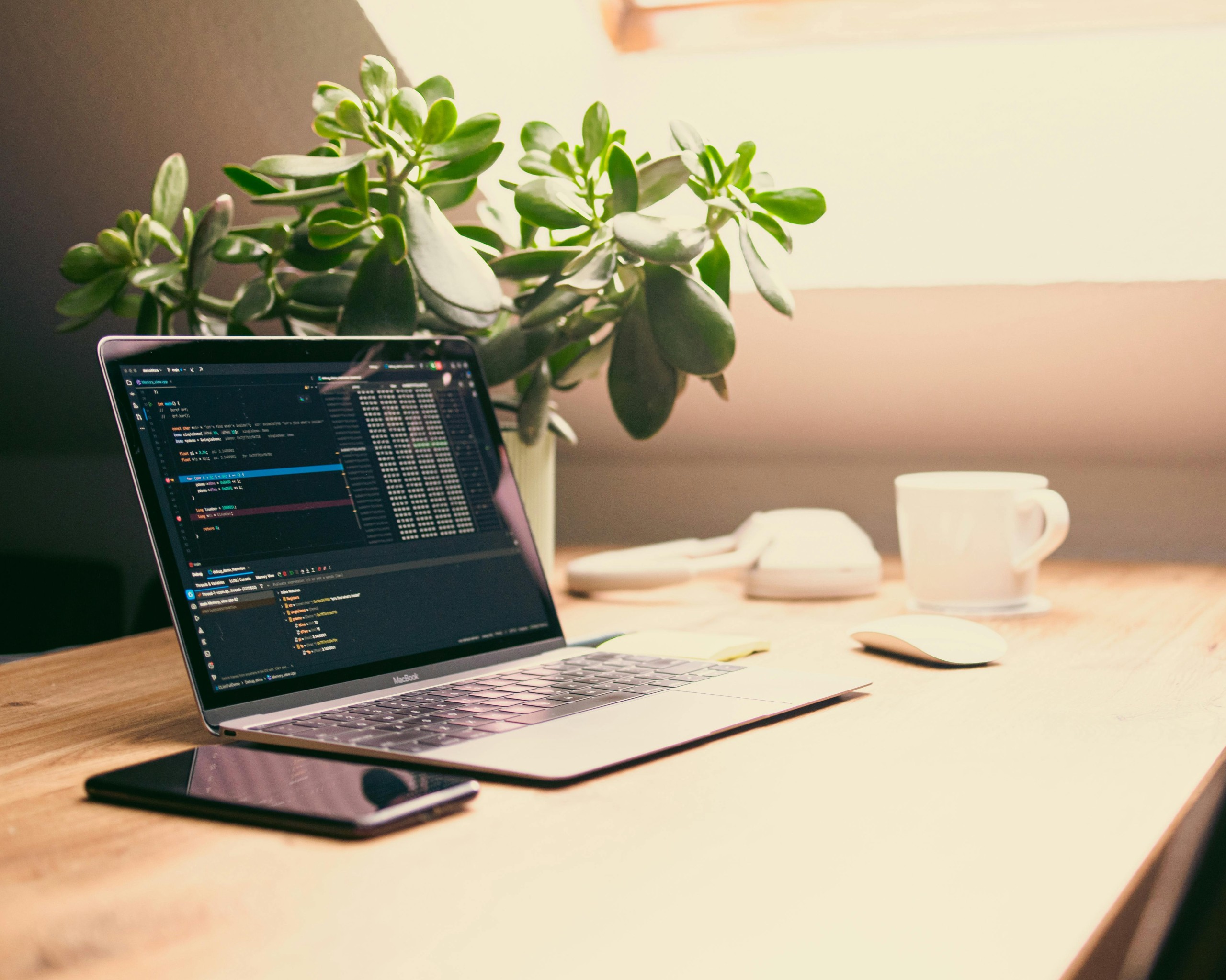 Home Office with Laptop and Green Plant