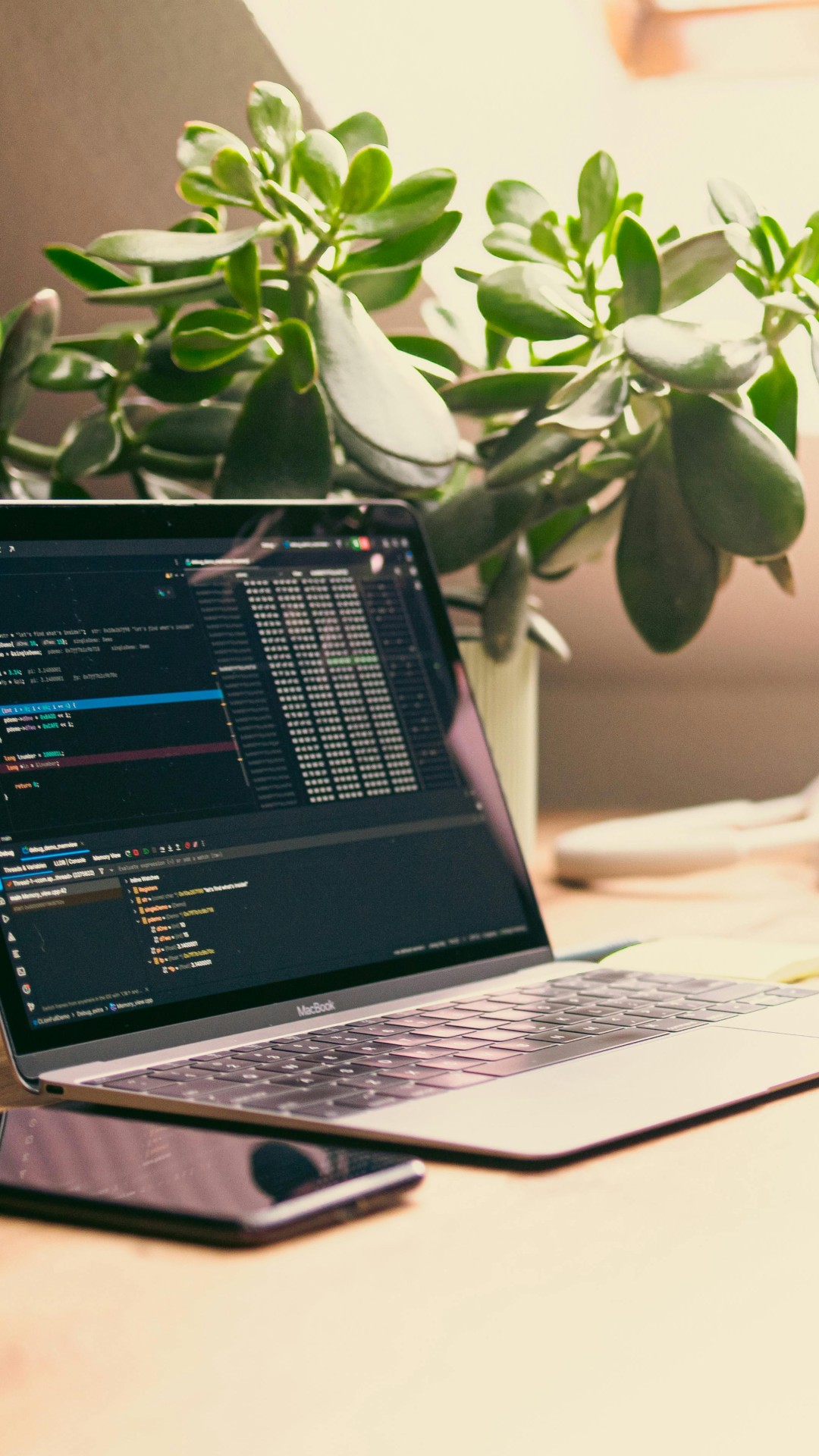 Home Office with Laptop and Green Plant