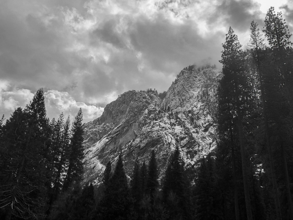 Trees and Mountains