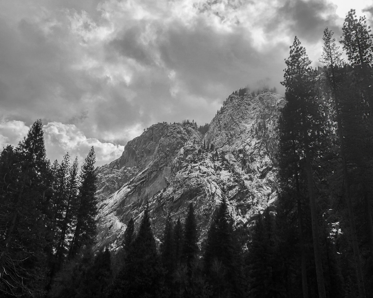 Trees and Mountains