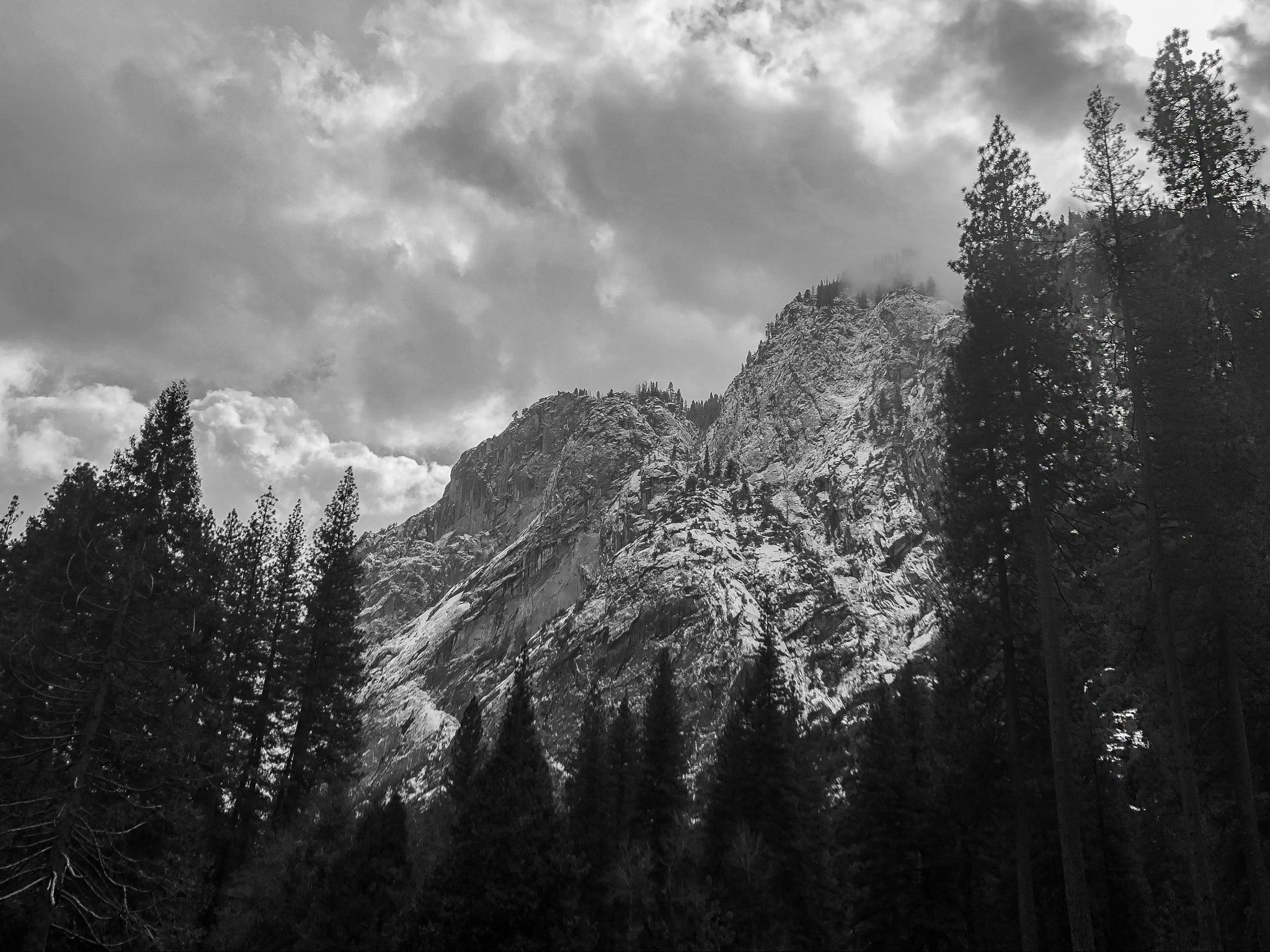 Trees and Mountains