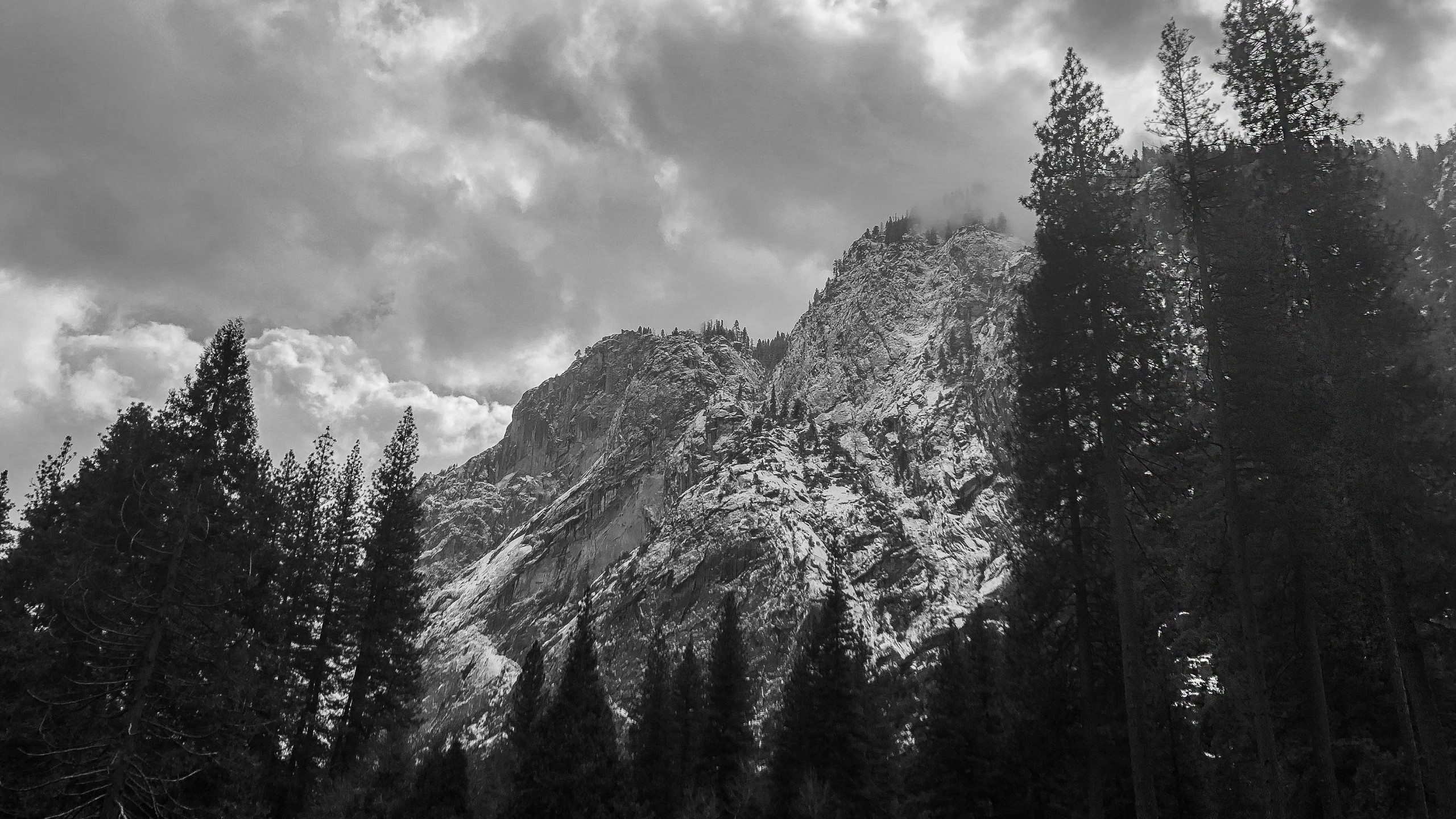 Trees and Mountains