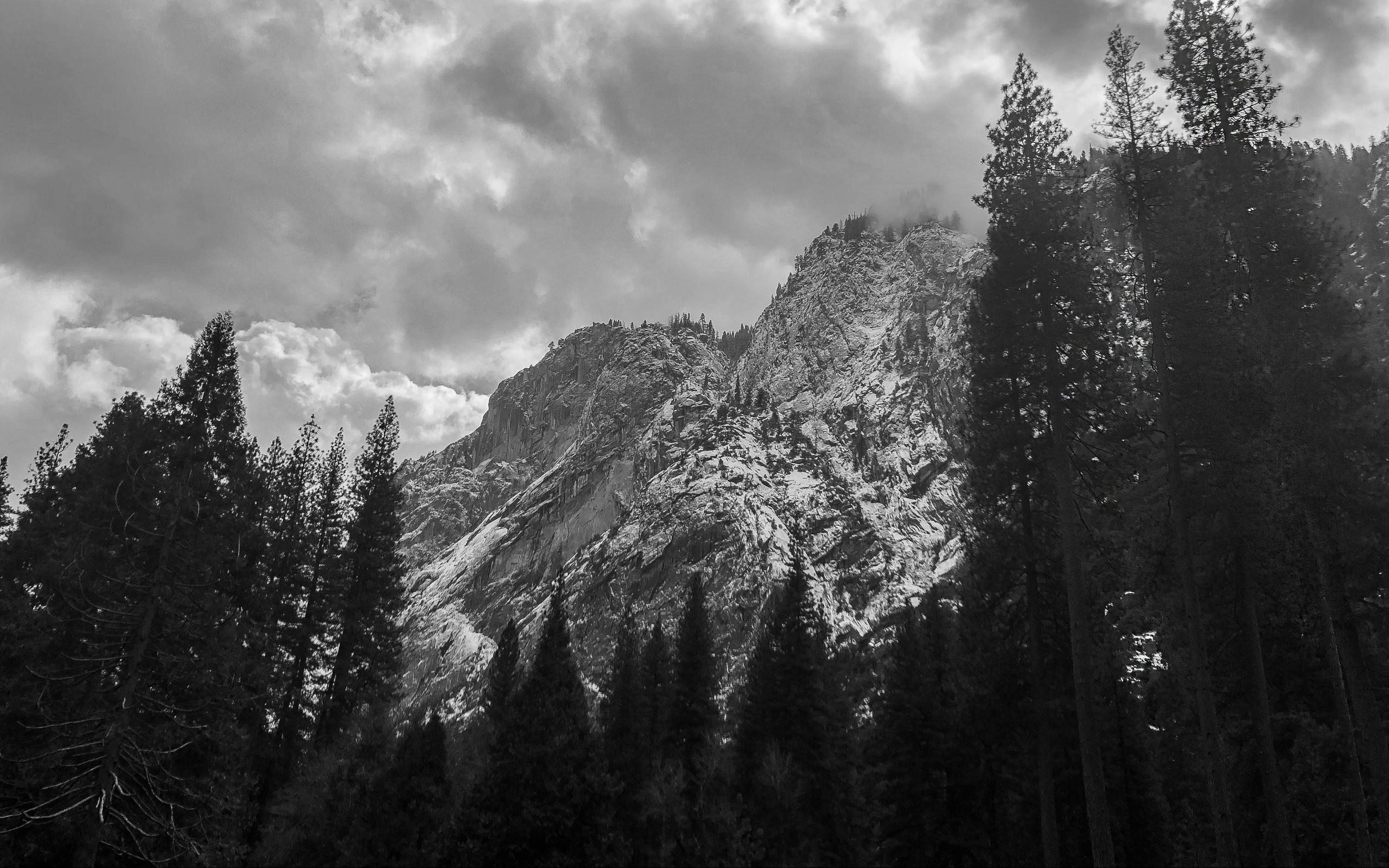 Trees and Mountains