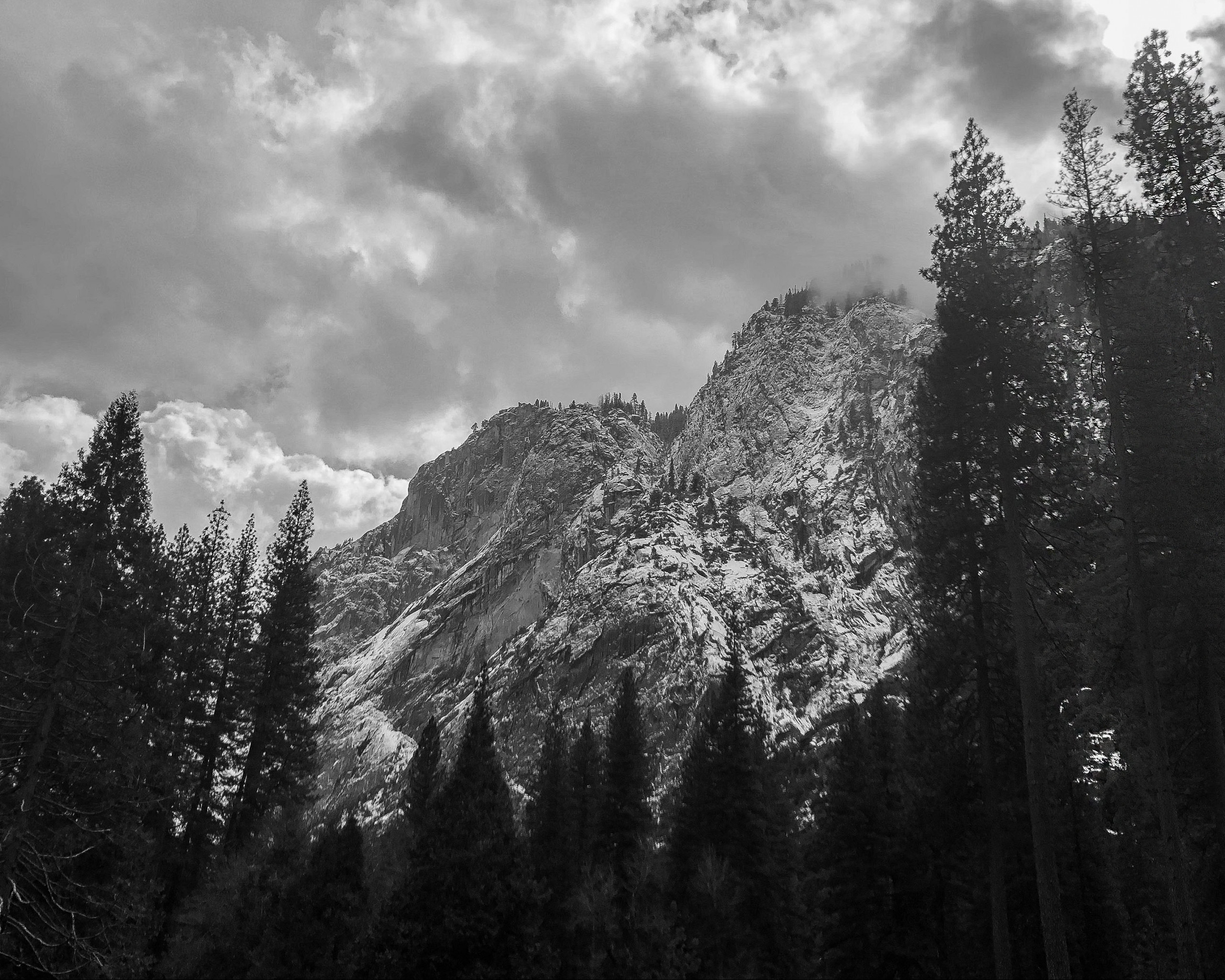Trees and Mountains