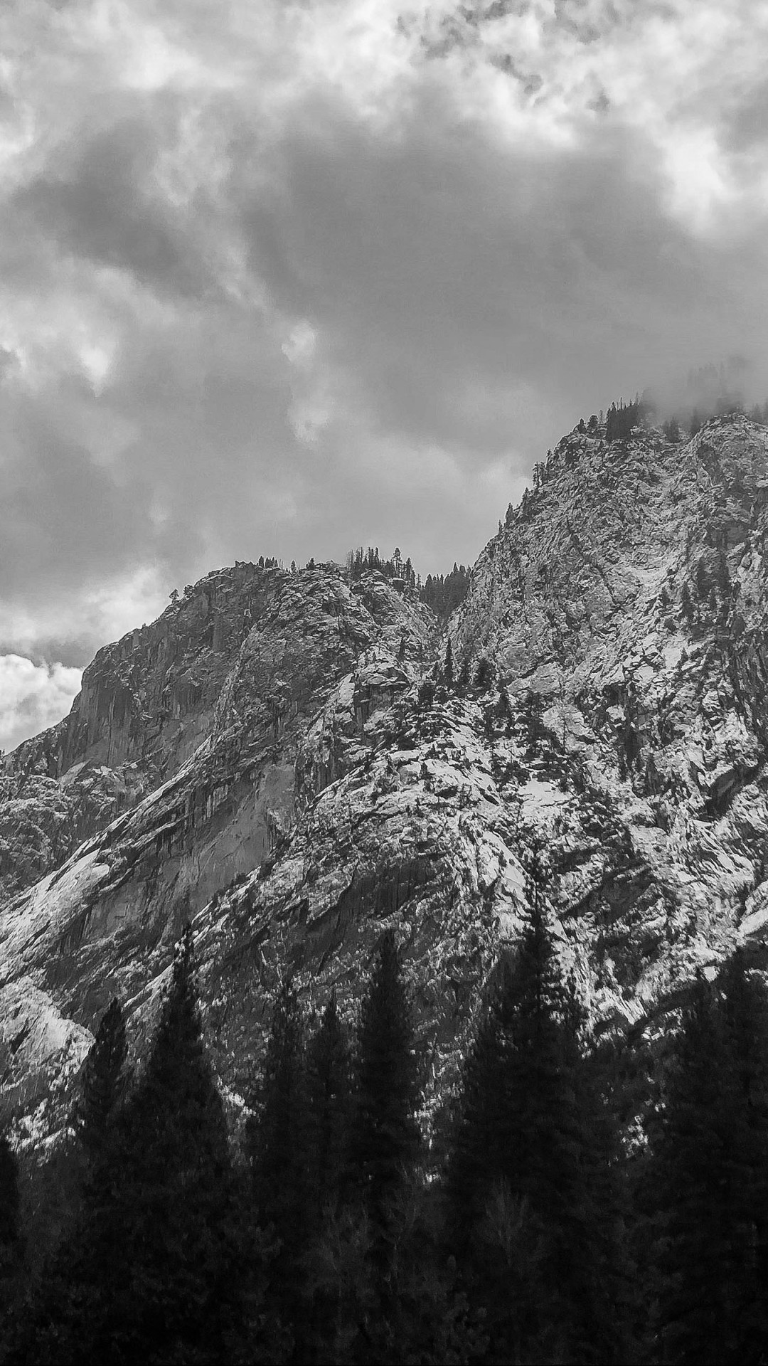 Trees and Mountains