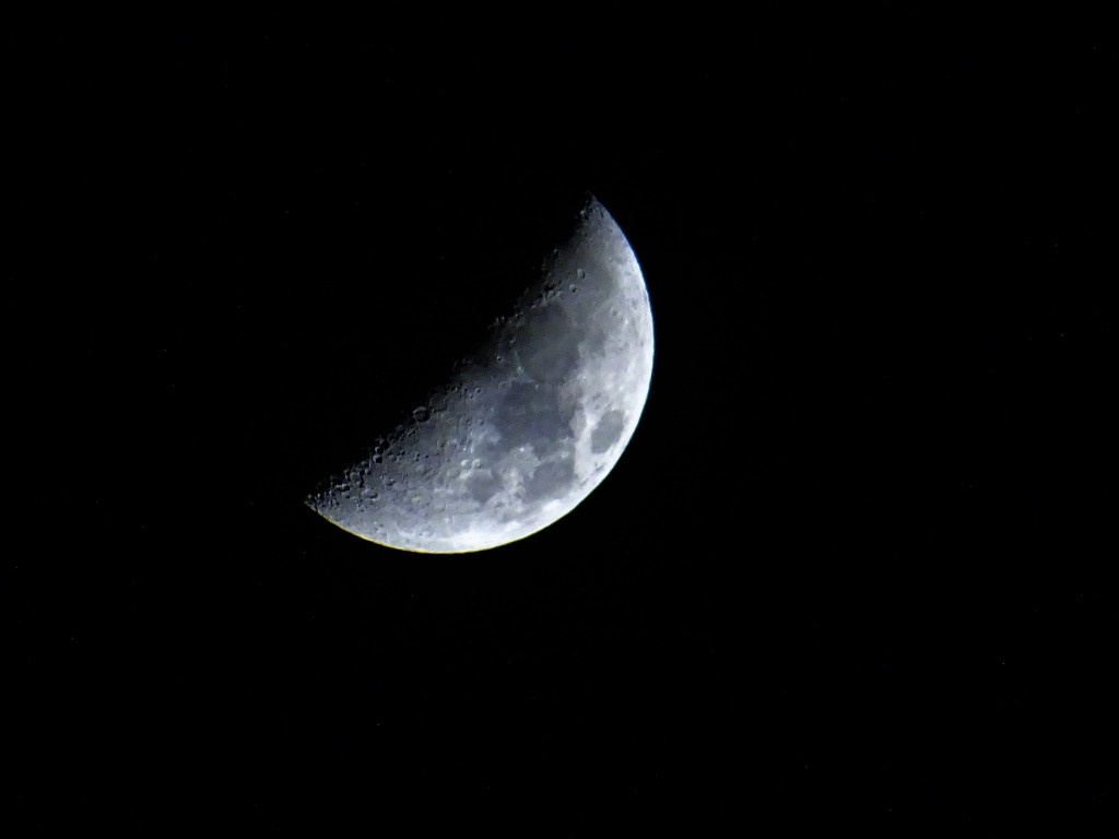 Half-moon